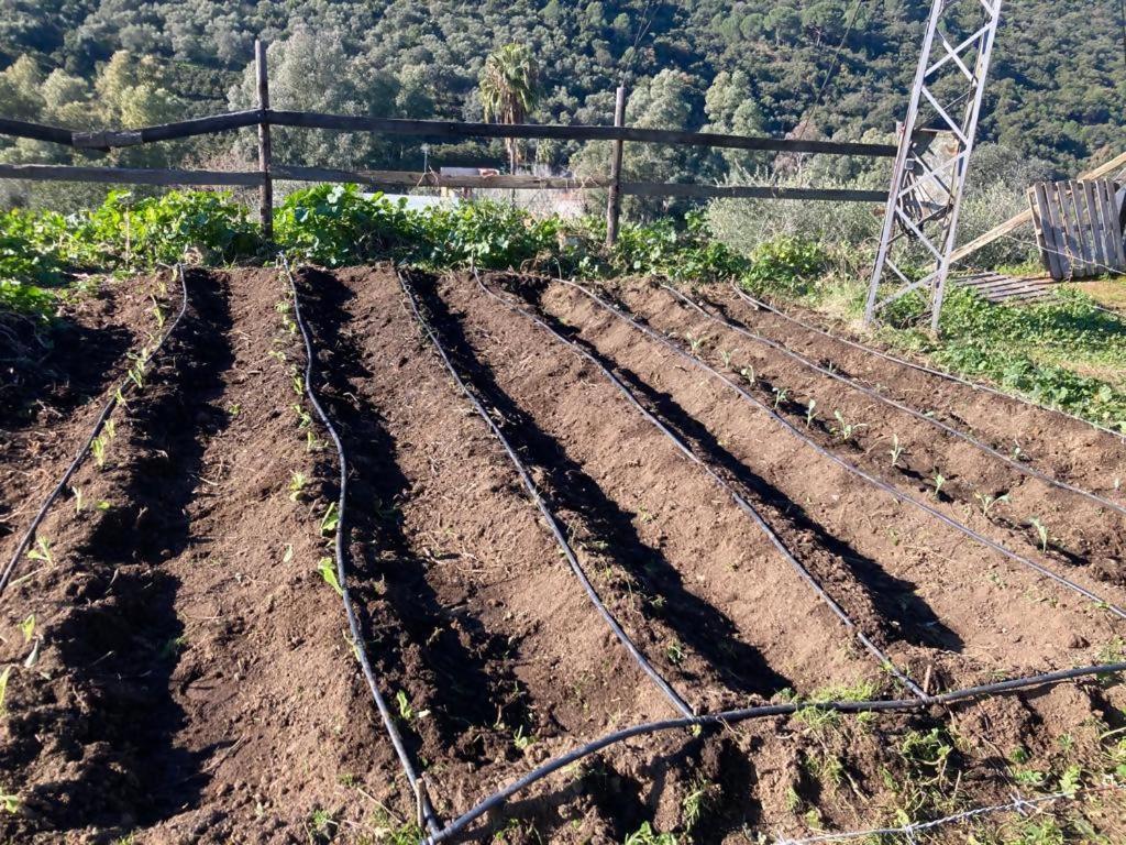 Casa Rural Los Menestrales