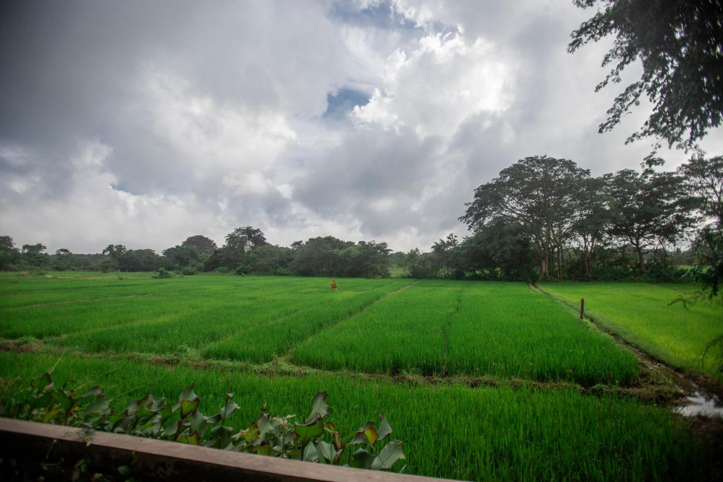 Kumbura Homestay