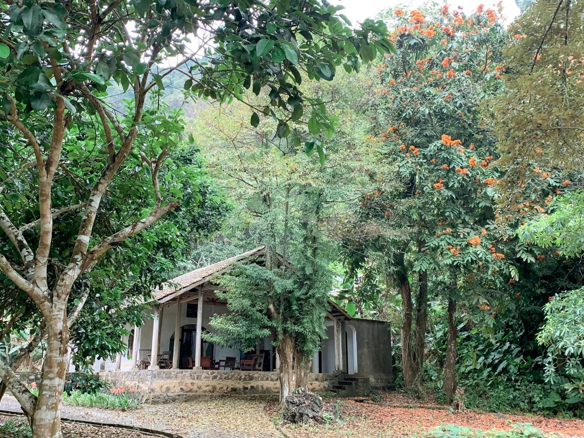 Ancient House Cat Ba view 2