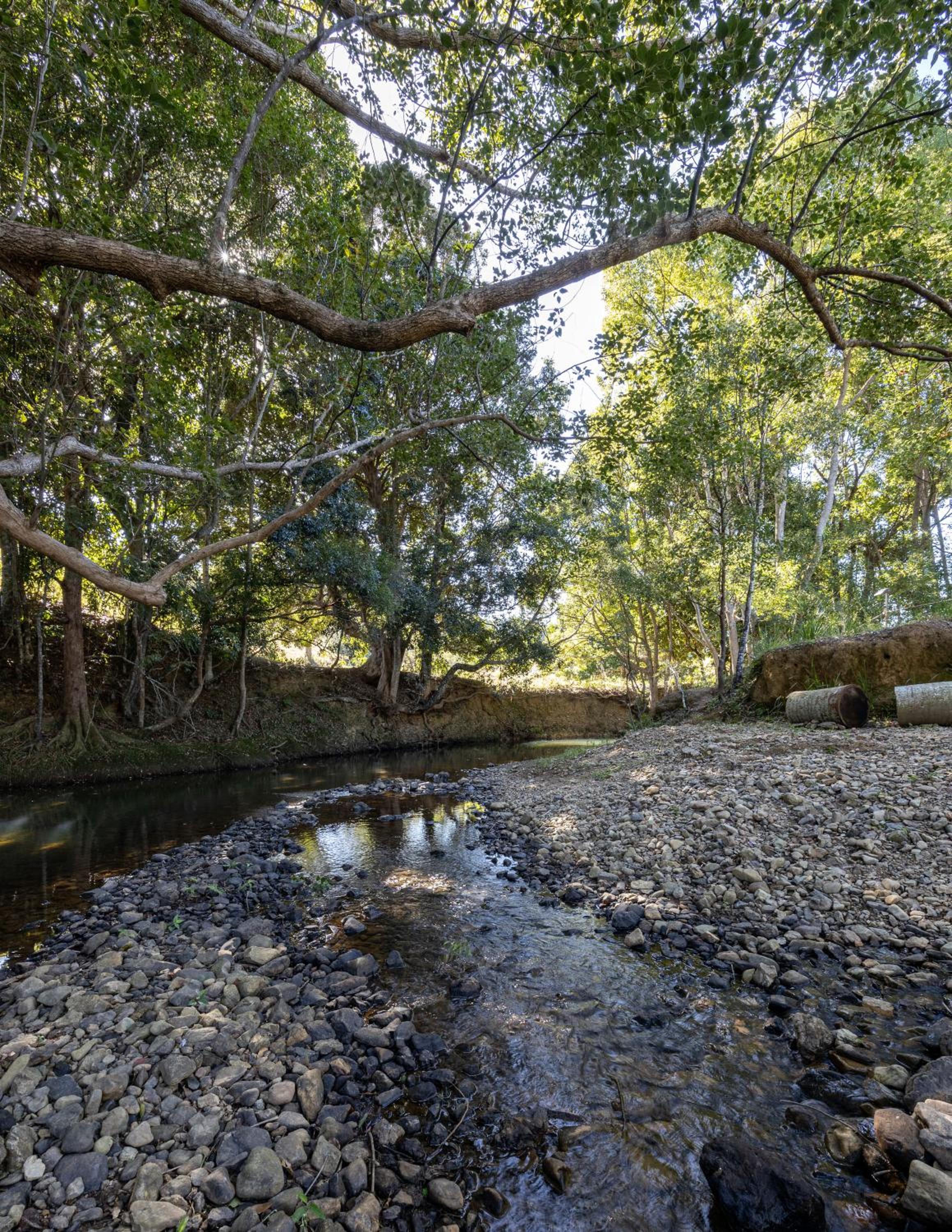 Figtree Creek Retreat
