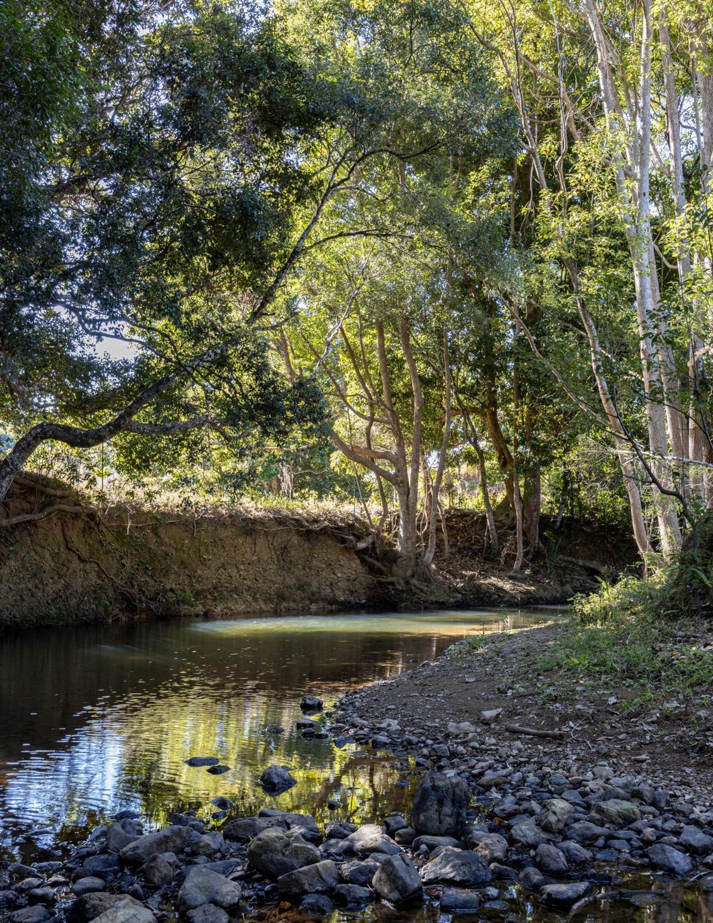 Figtree Creek Retreat