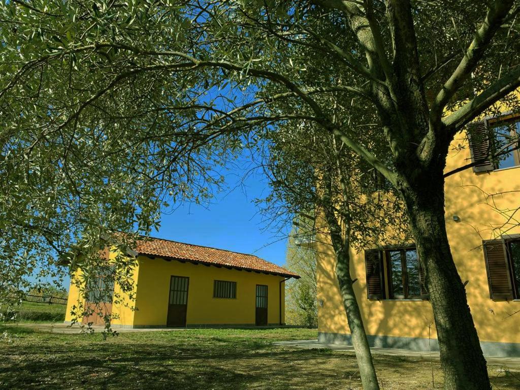 Photo 37