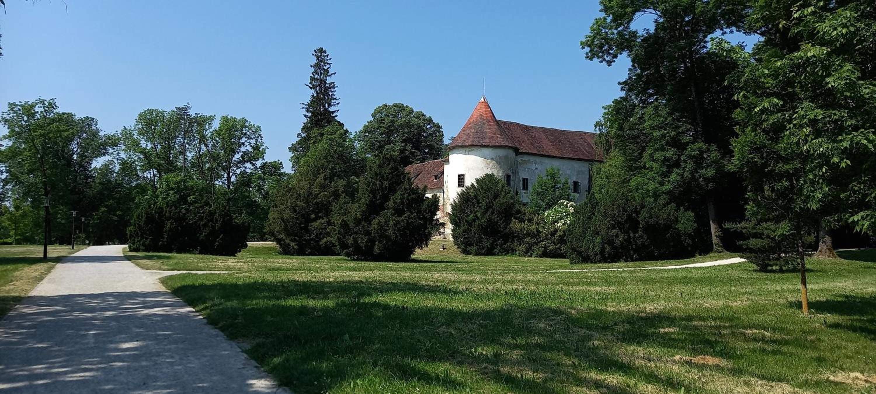 Photo 44