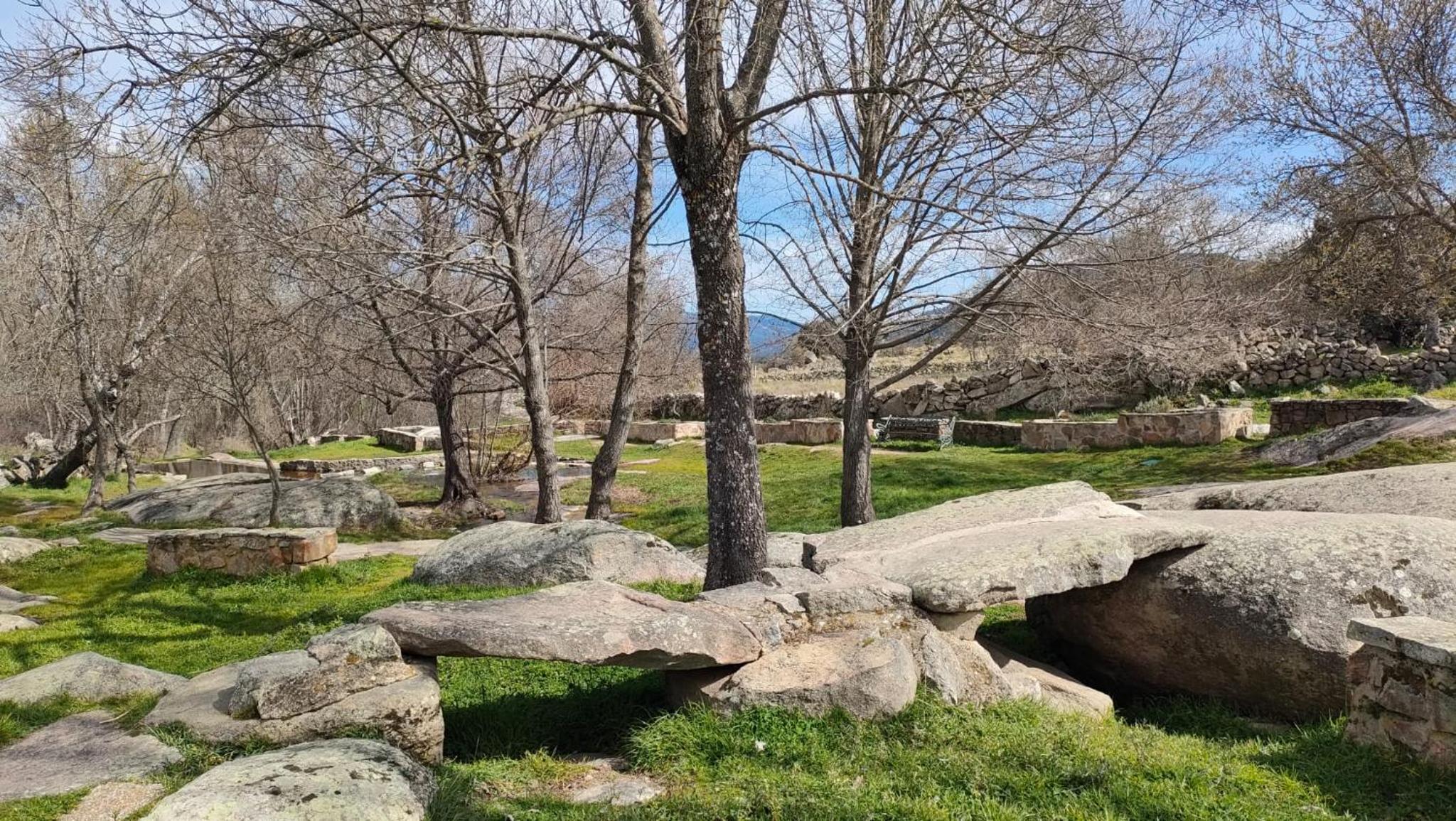 Photo 47
