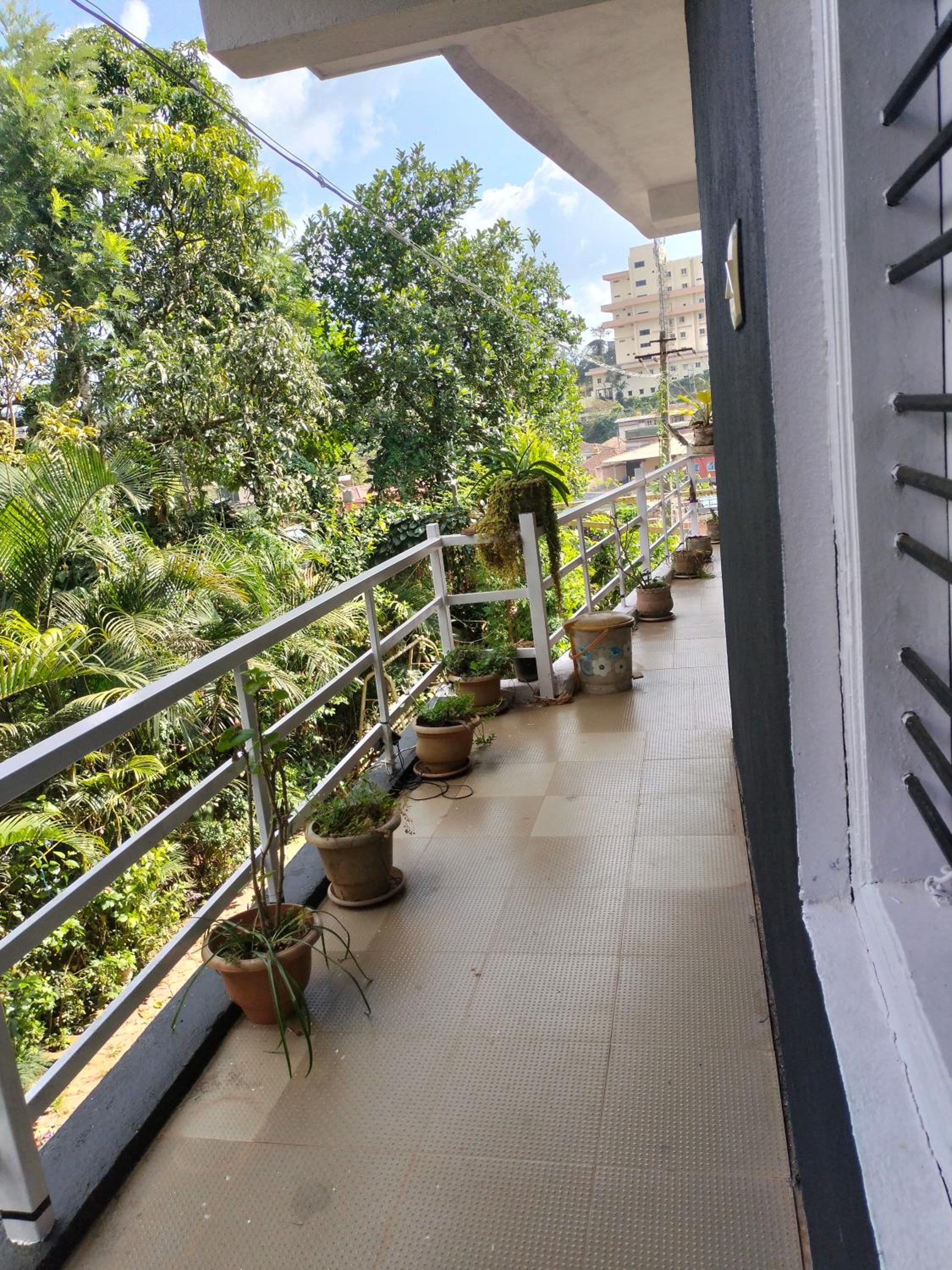 Coorg Kusumas homestay view 4