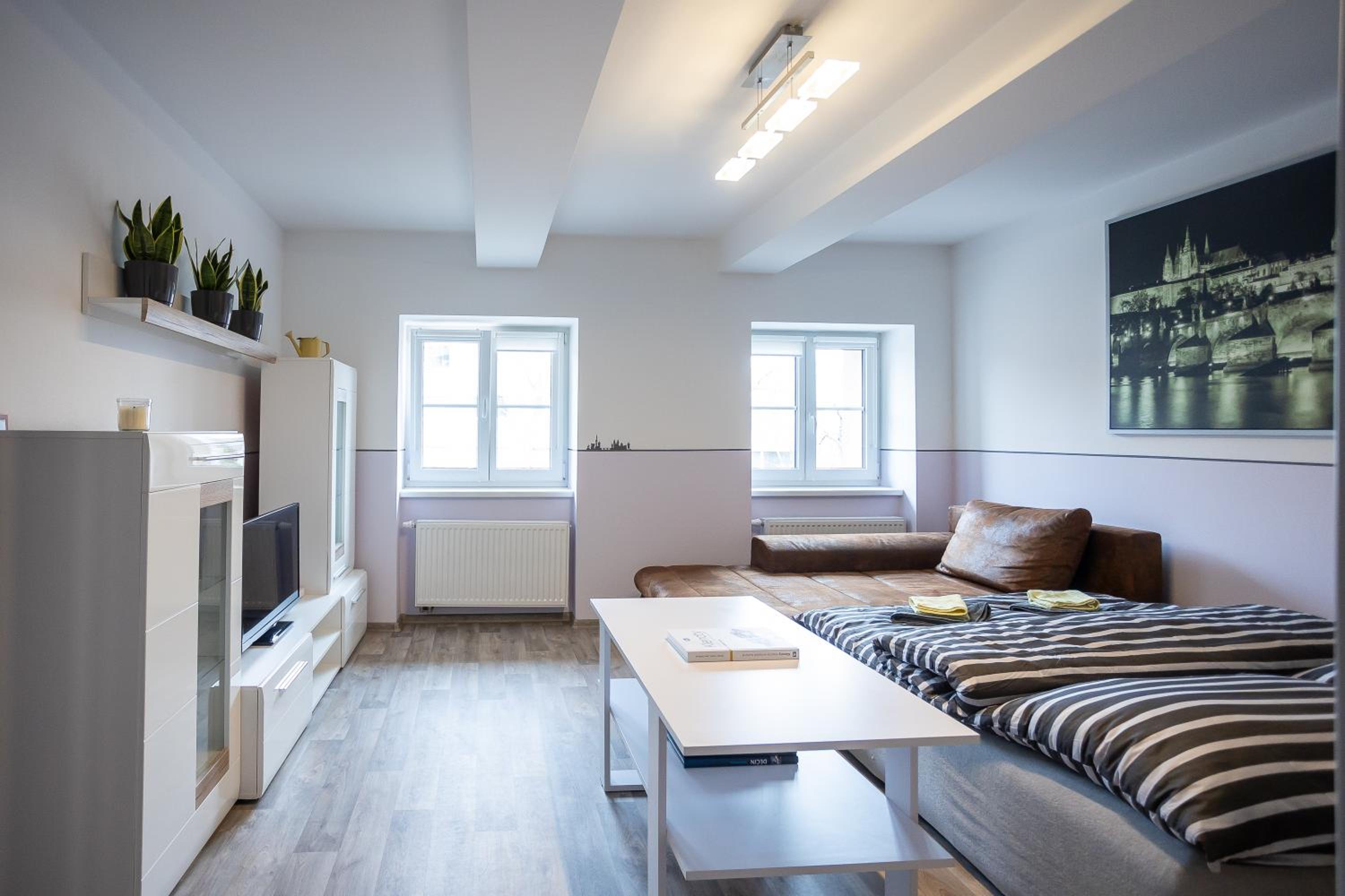 Spacious Apartment 20 Min from National Theatre