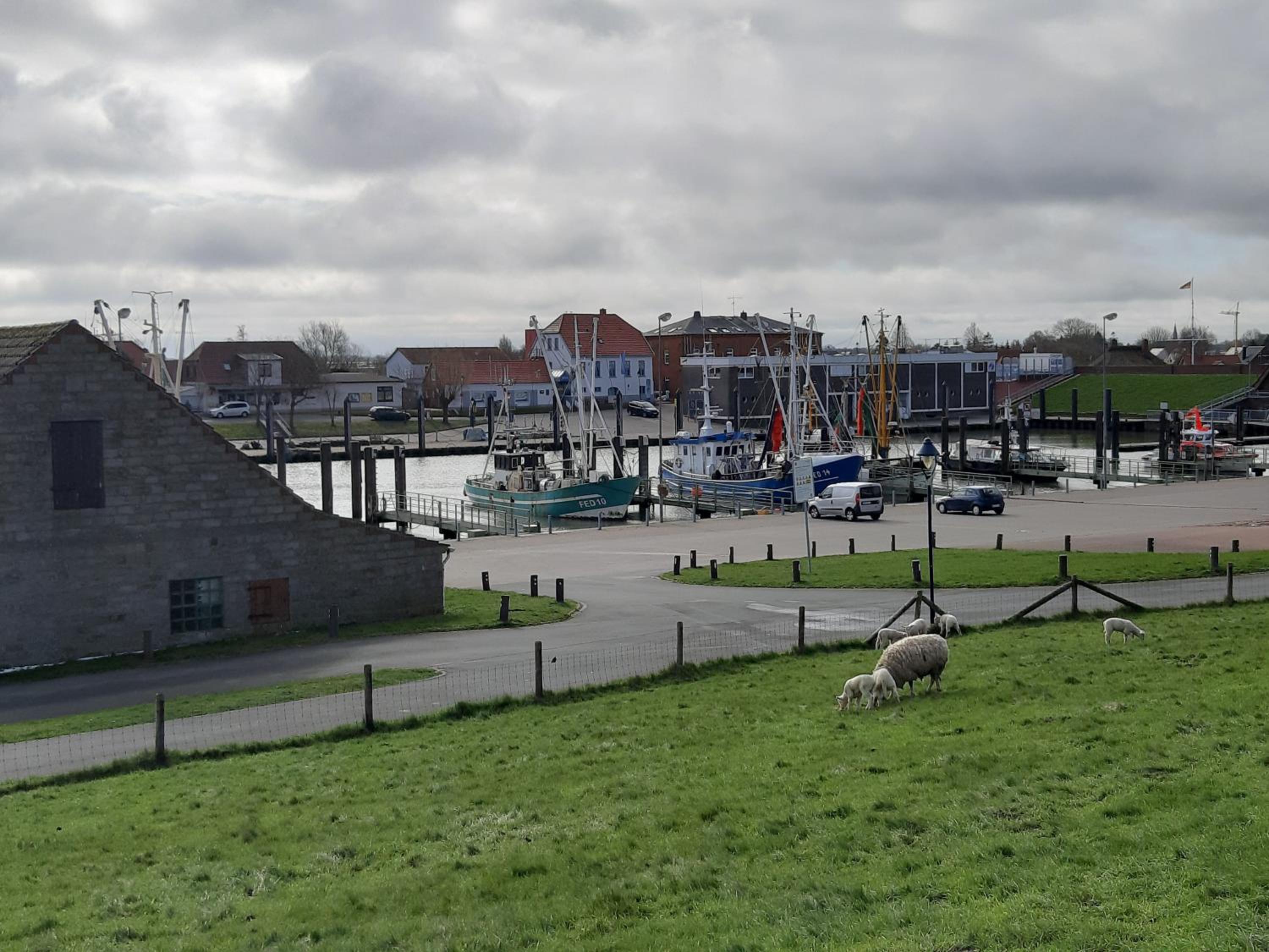 Photo 9
