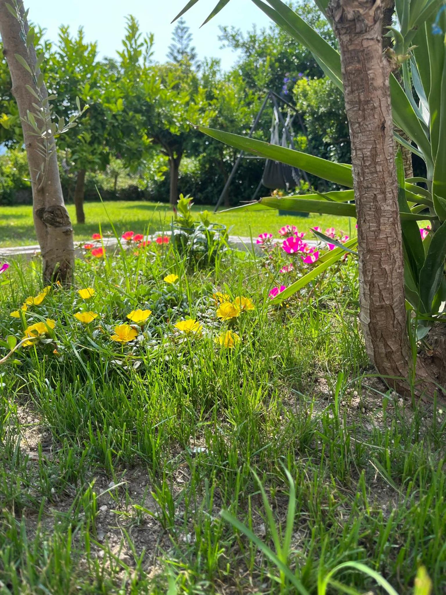 B&B da Francesco photo 4