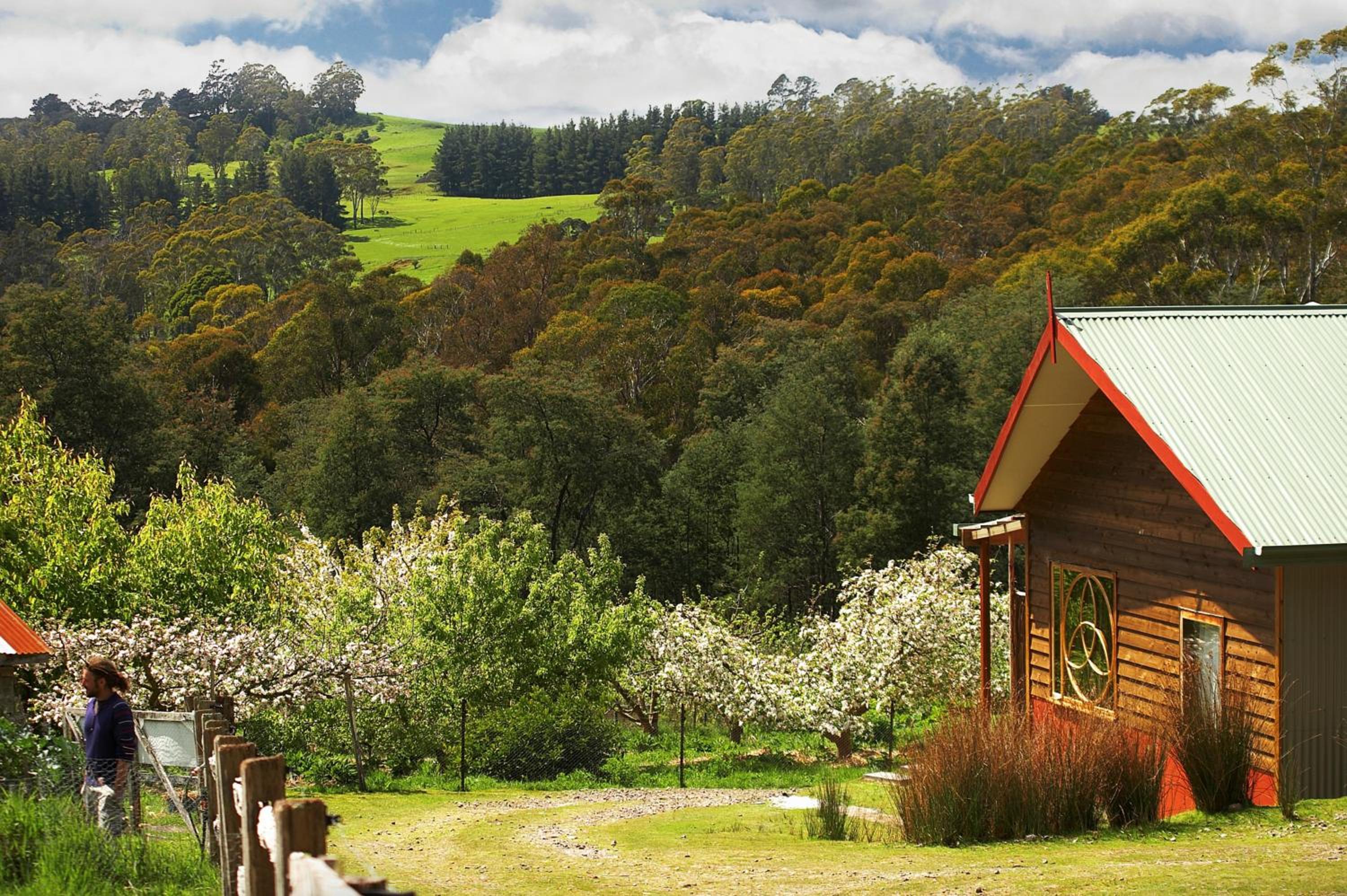 Elvenhome Farm
