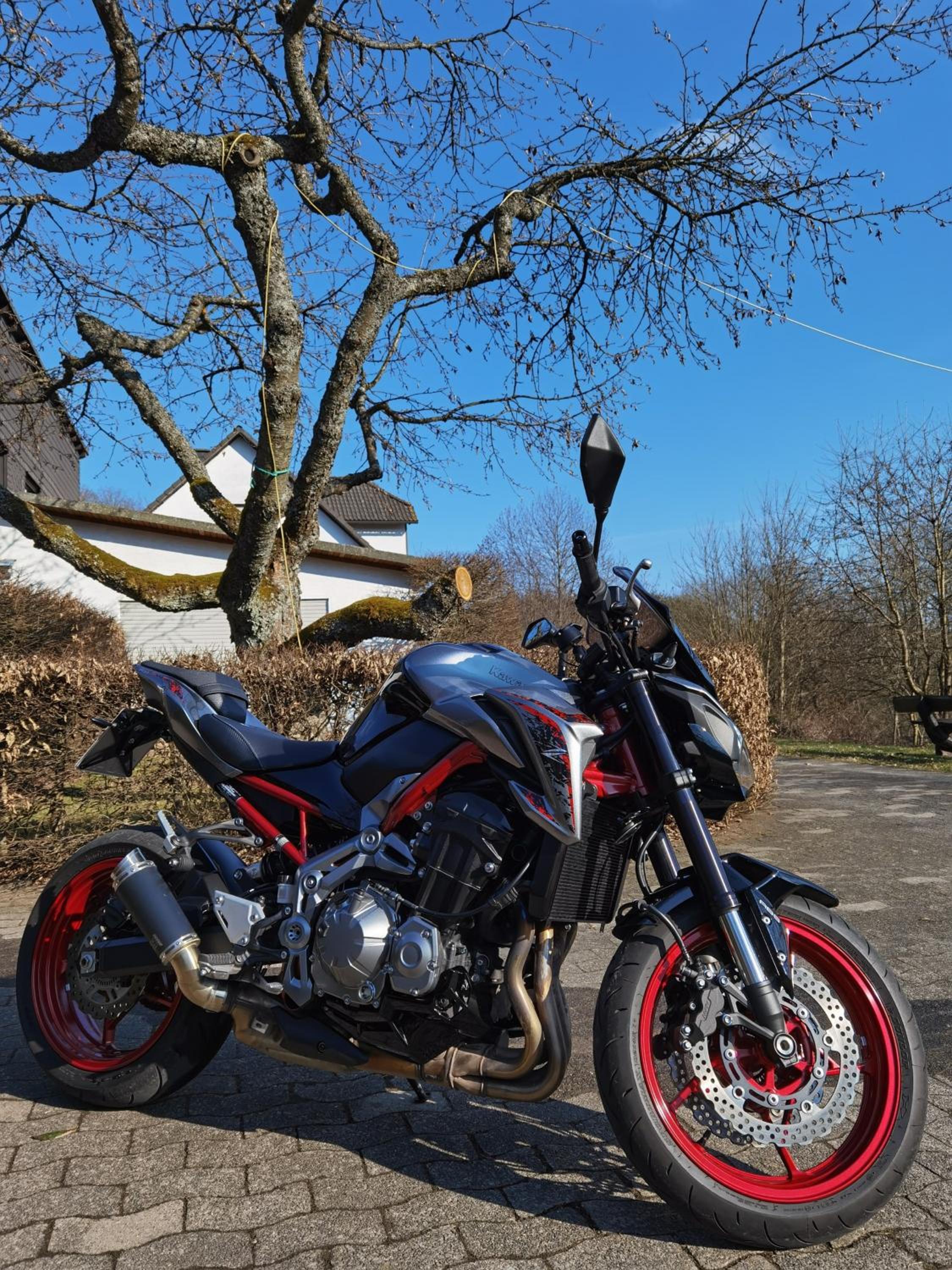 Sauerland-AlmWinterberg