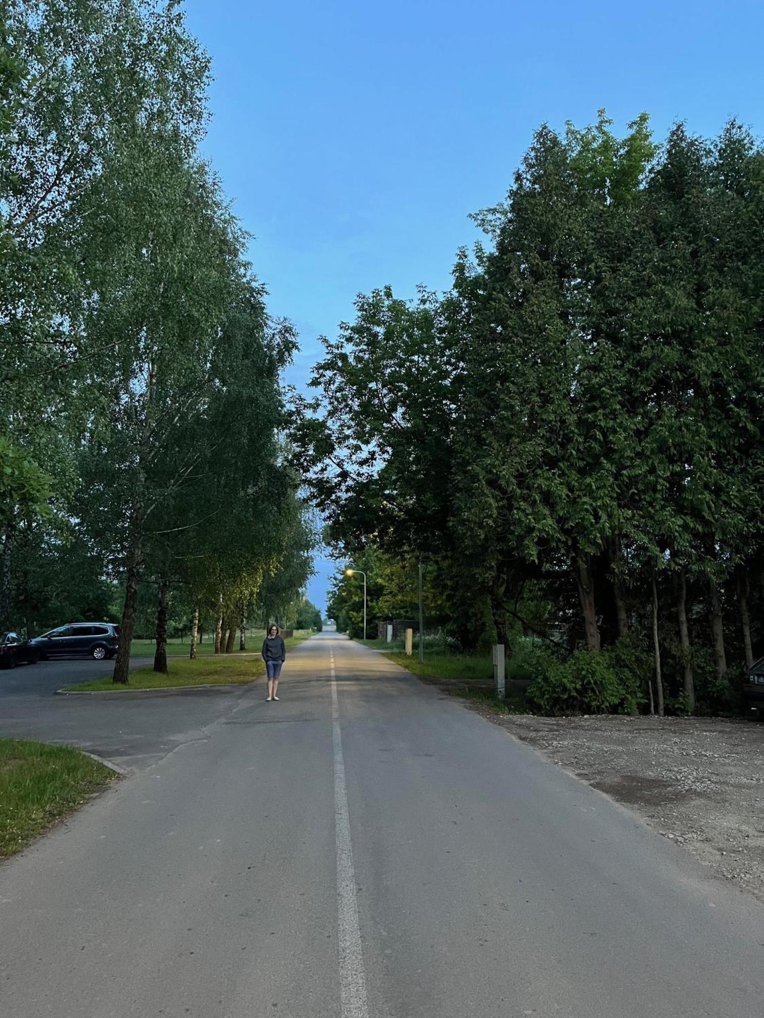 Photo 49
