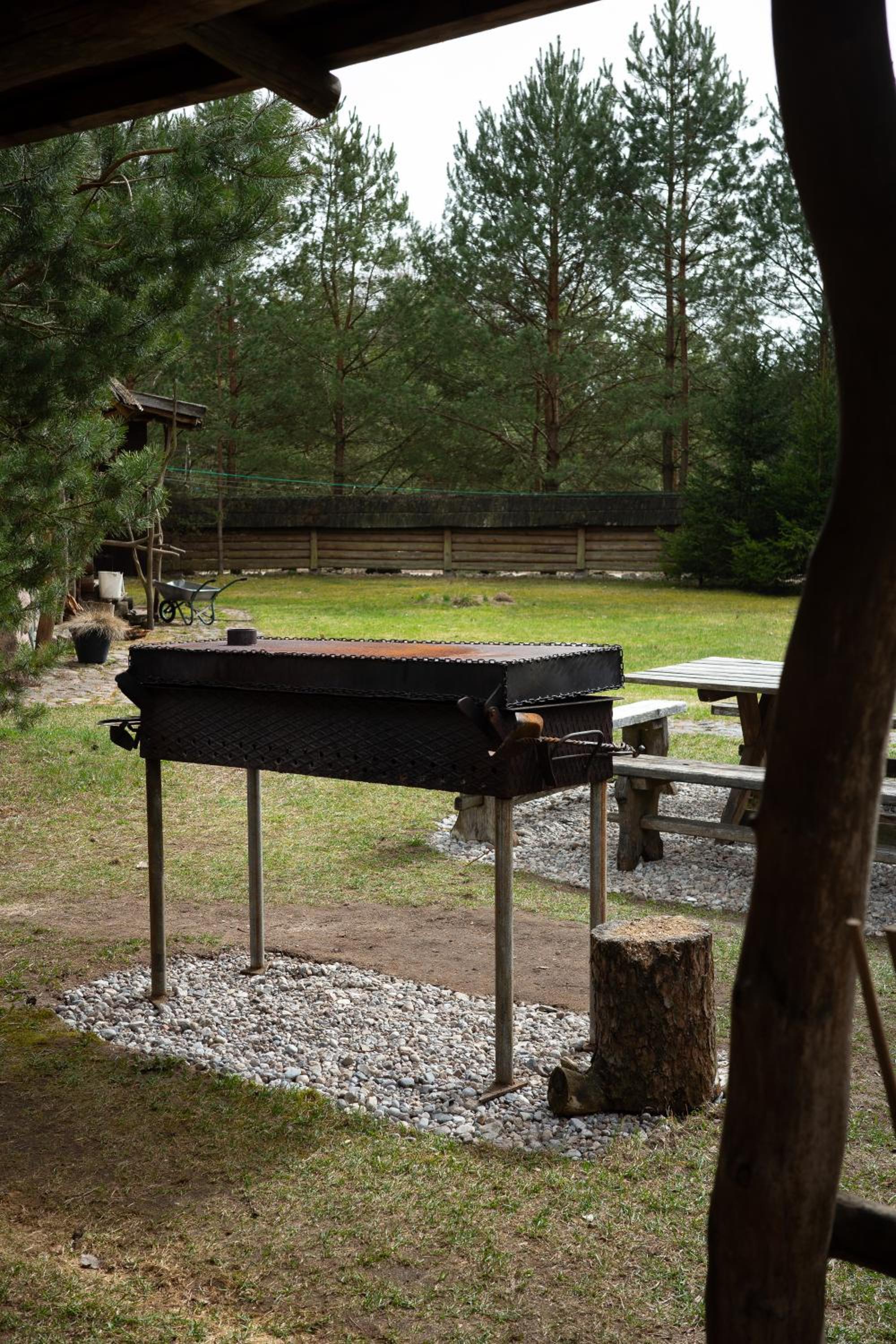 Poilsis Gamtoje