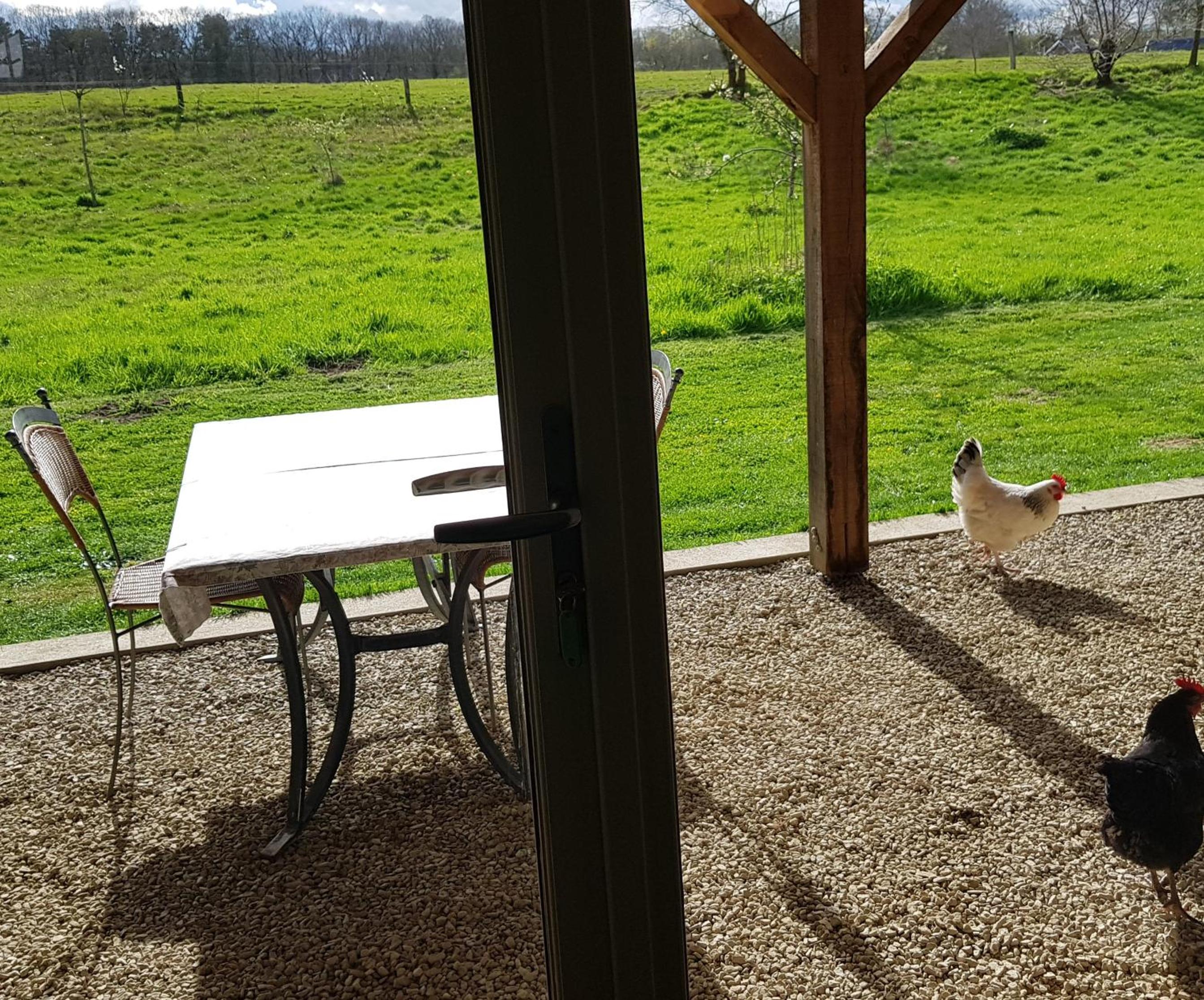 Houterhoeve