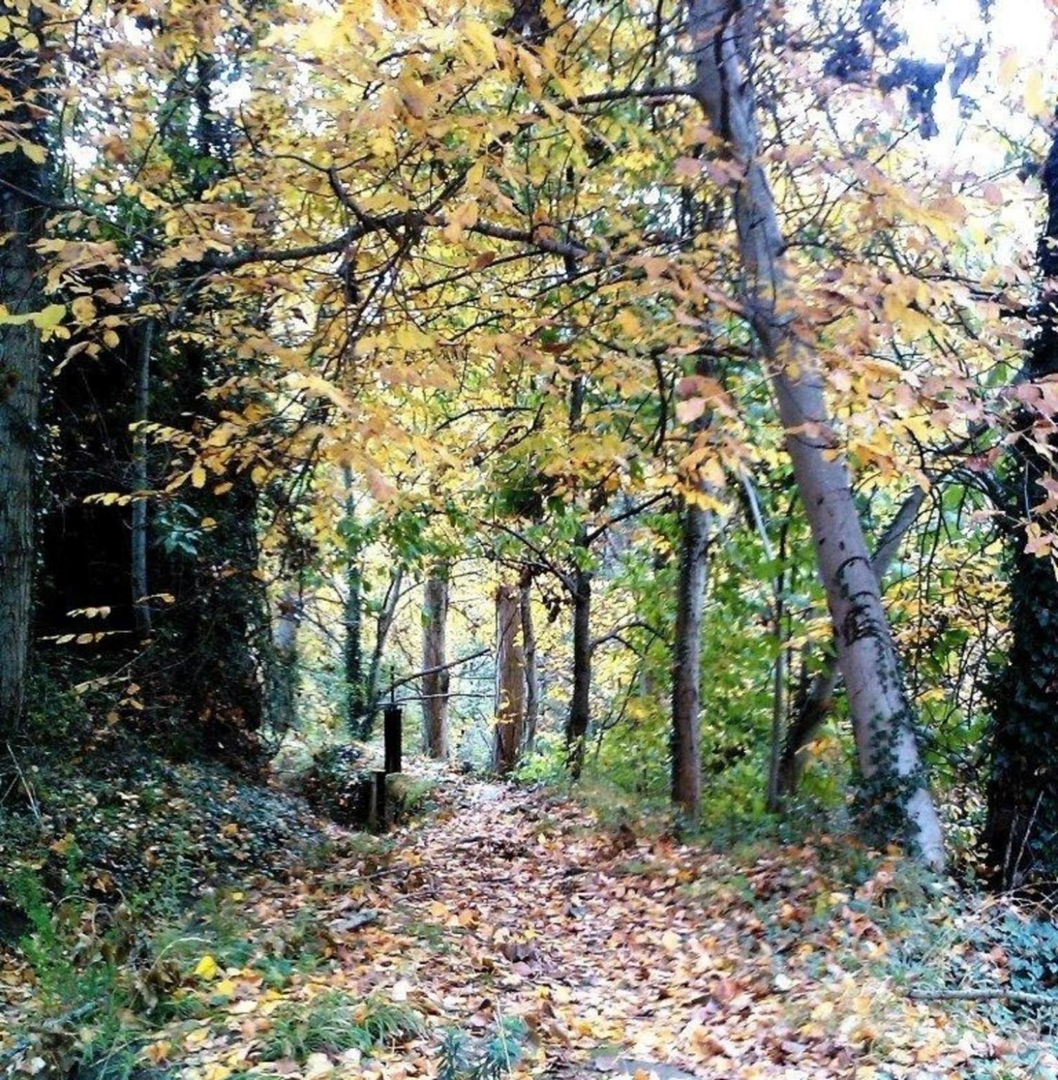 Photo 21