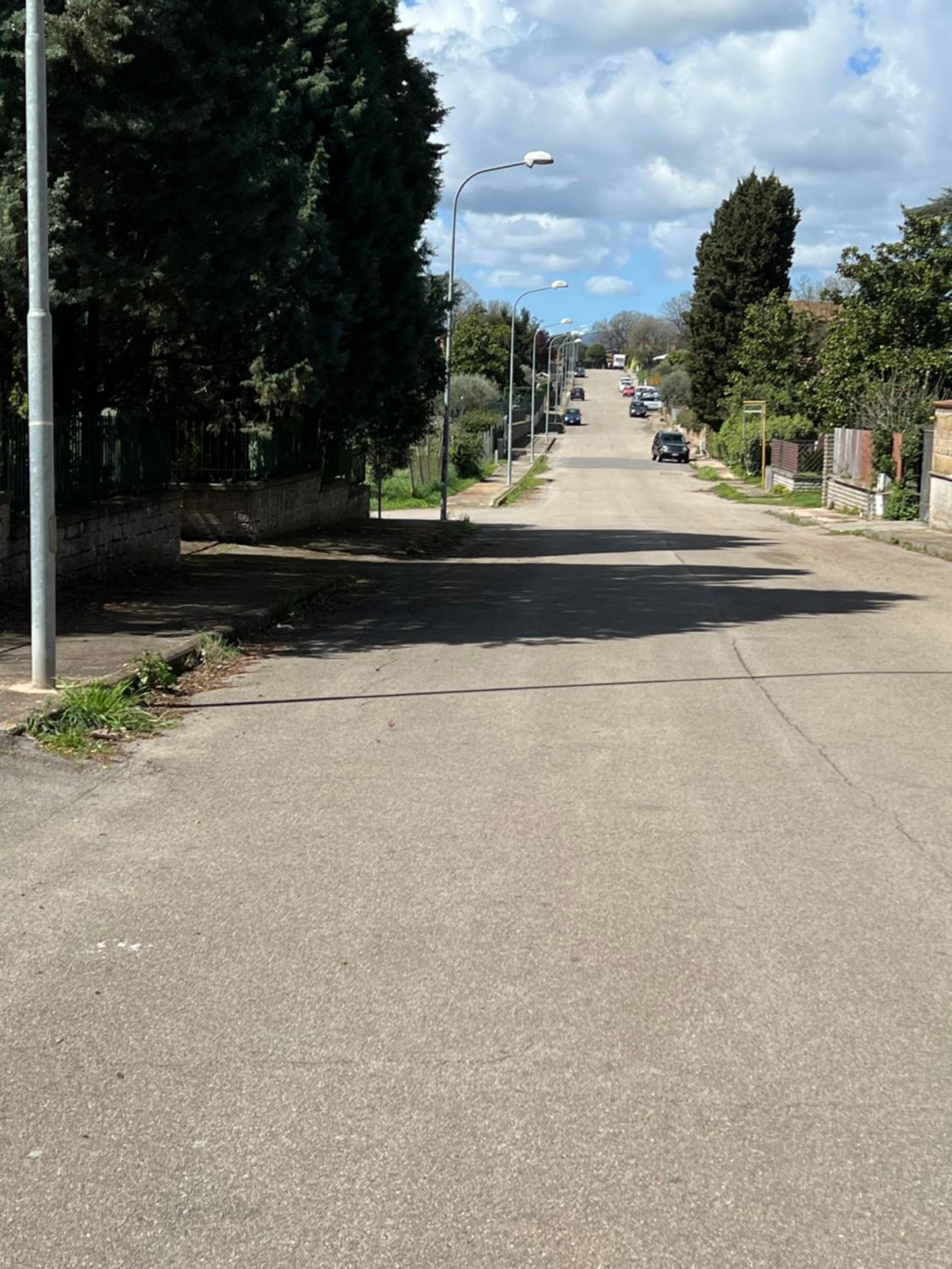 Photo 36