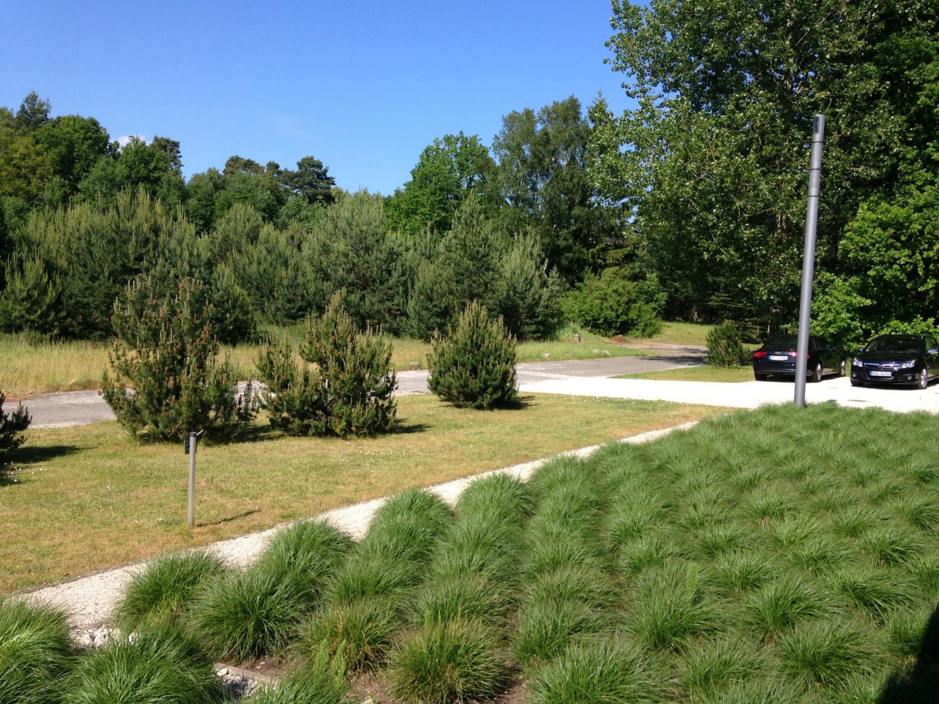 Photo 18