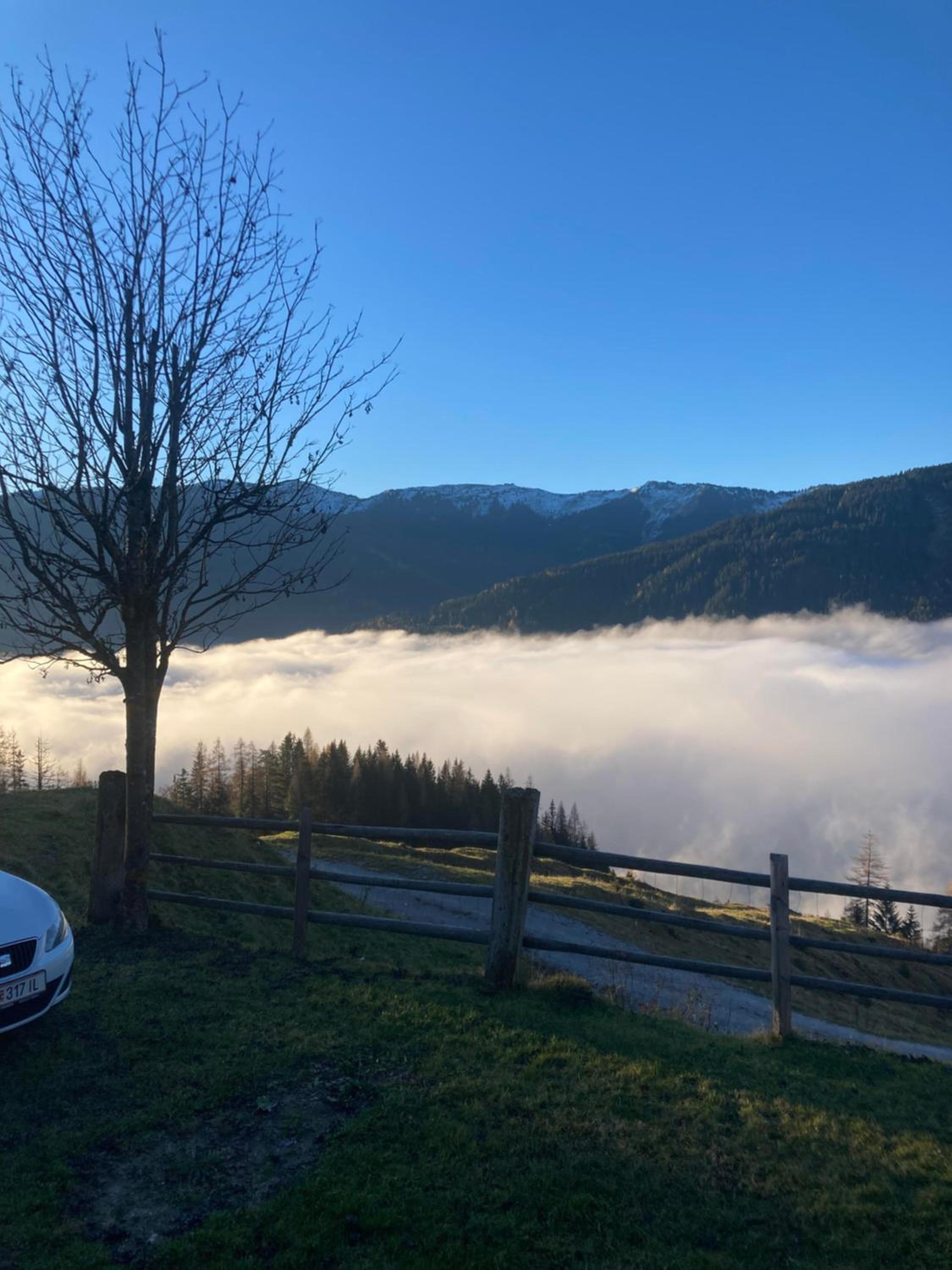 Chalet Hirschenwald