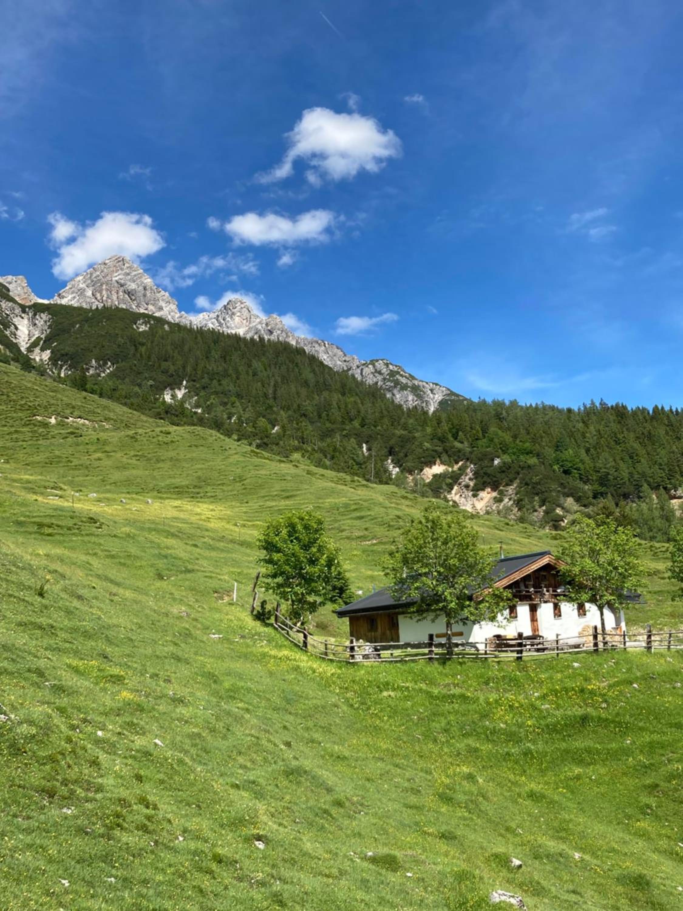 Chalet Hirschenwald