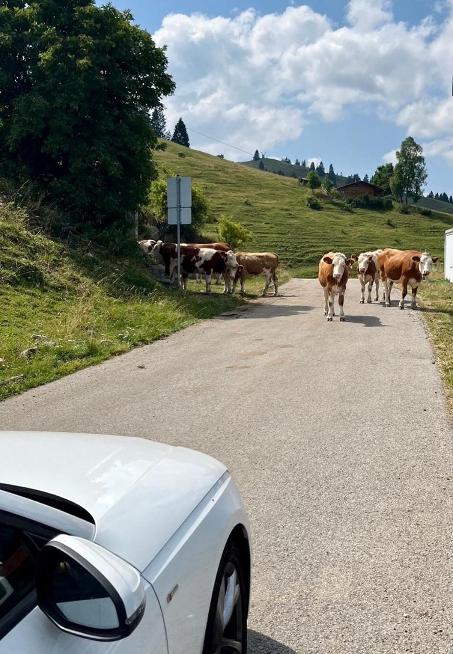Anderswo Bad Aibling