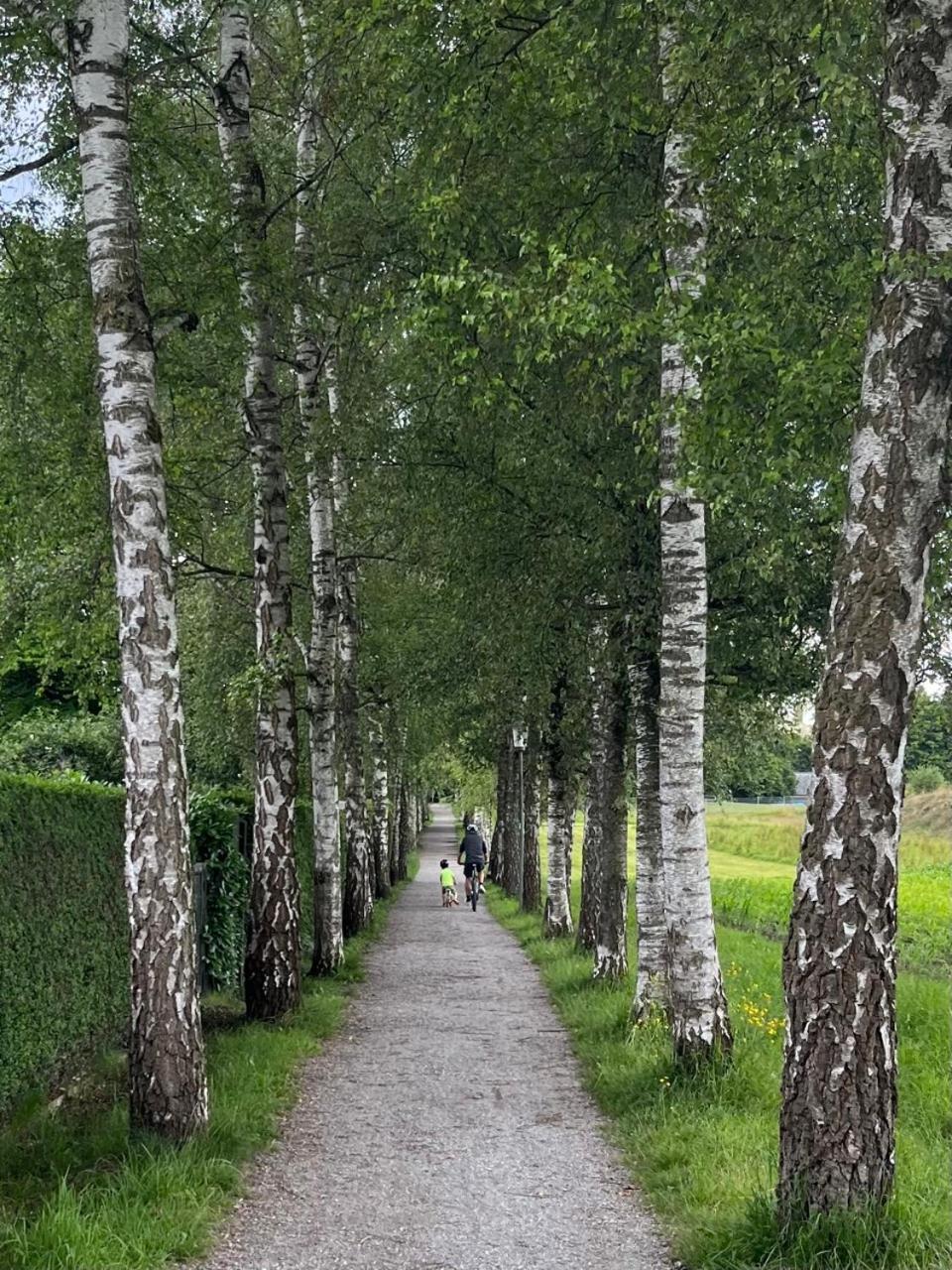 Anderswo Bad Aibling