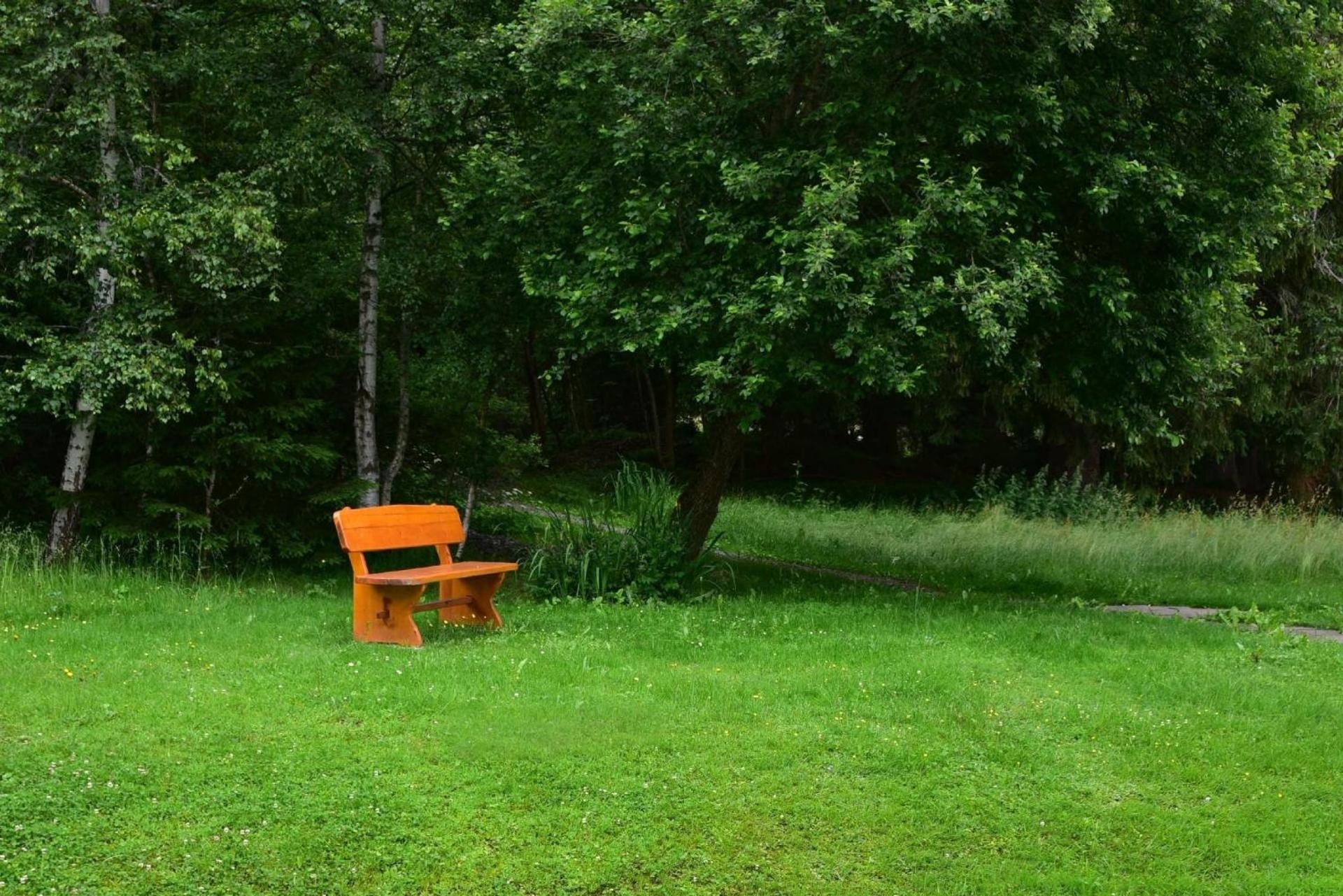Appartement In Saig Mit Garten Und Grill