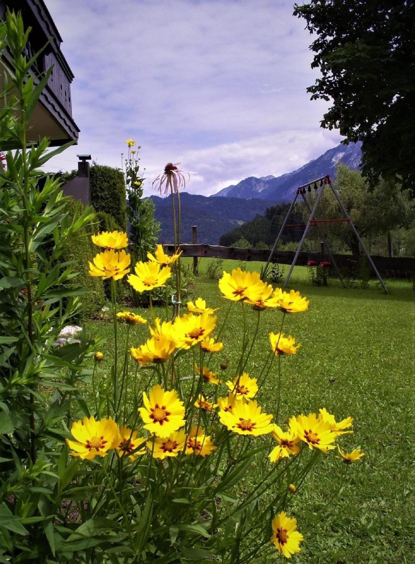 Ferienwohnung Gsenger In Abtenau