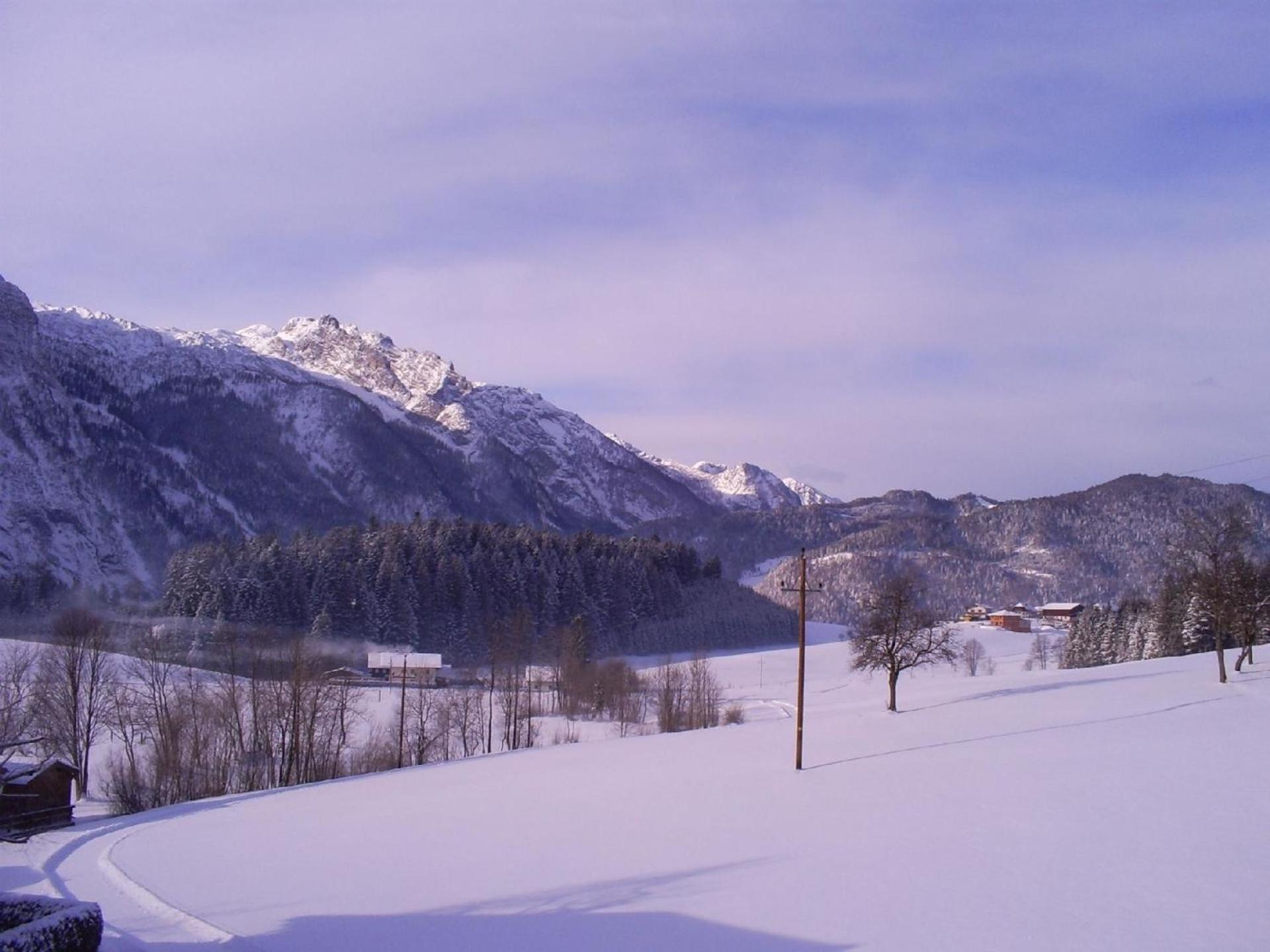 Ferienwohnung Gsenger In Abtenau