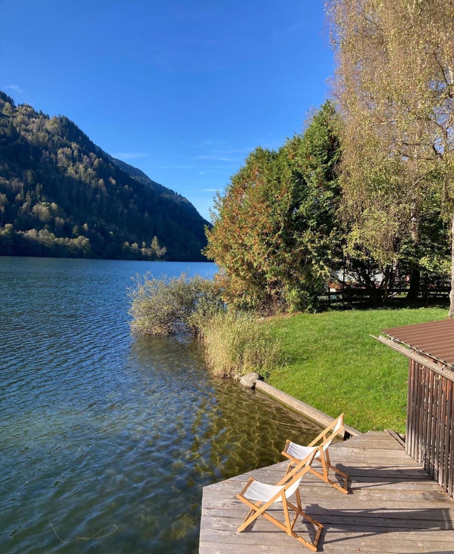 Ferienwohnung Studio Seebrauer In Feld Am See
