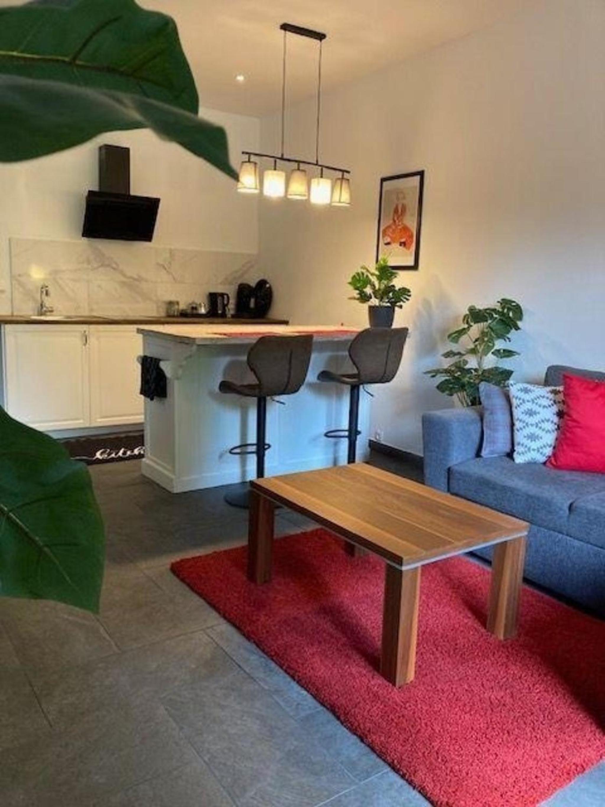 Ferienwohnung Studio Seebrauer In Feld Am See