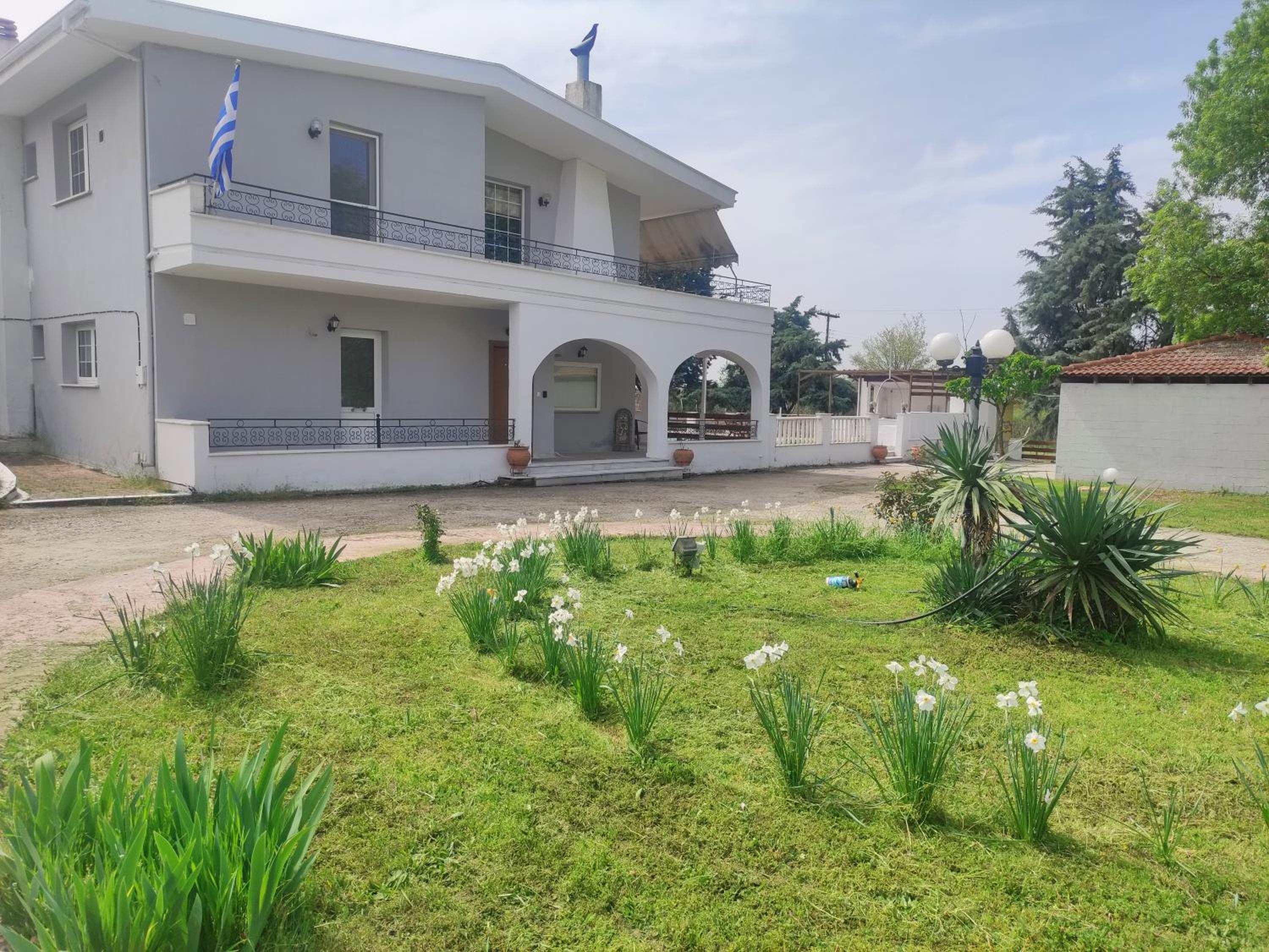 TERRA LUXURY HOME