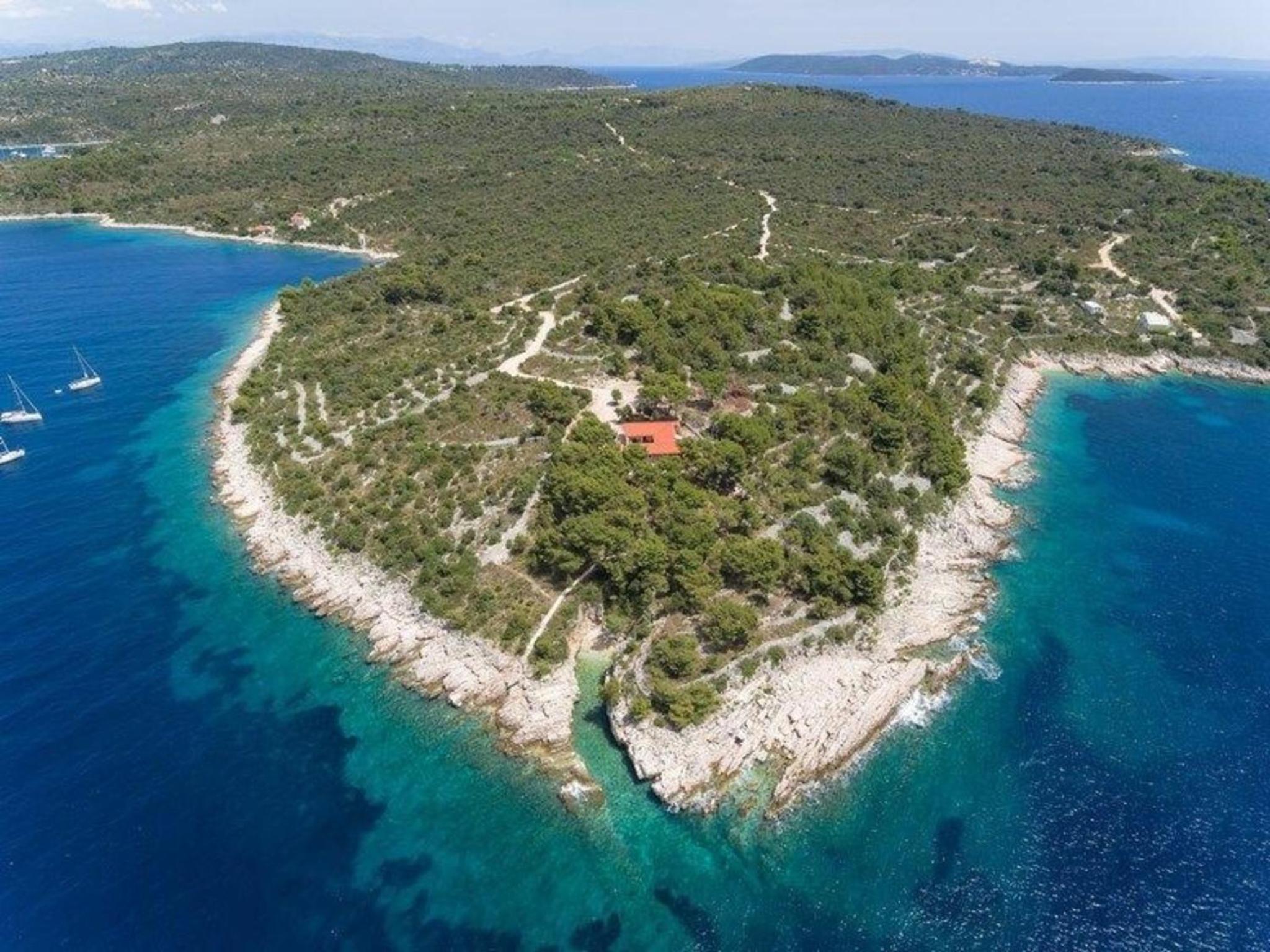 Ferienvilla Centovi Dvori mitten im Pinienwald view 4