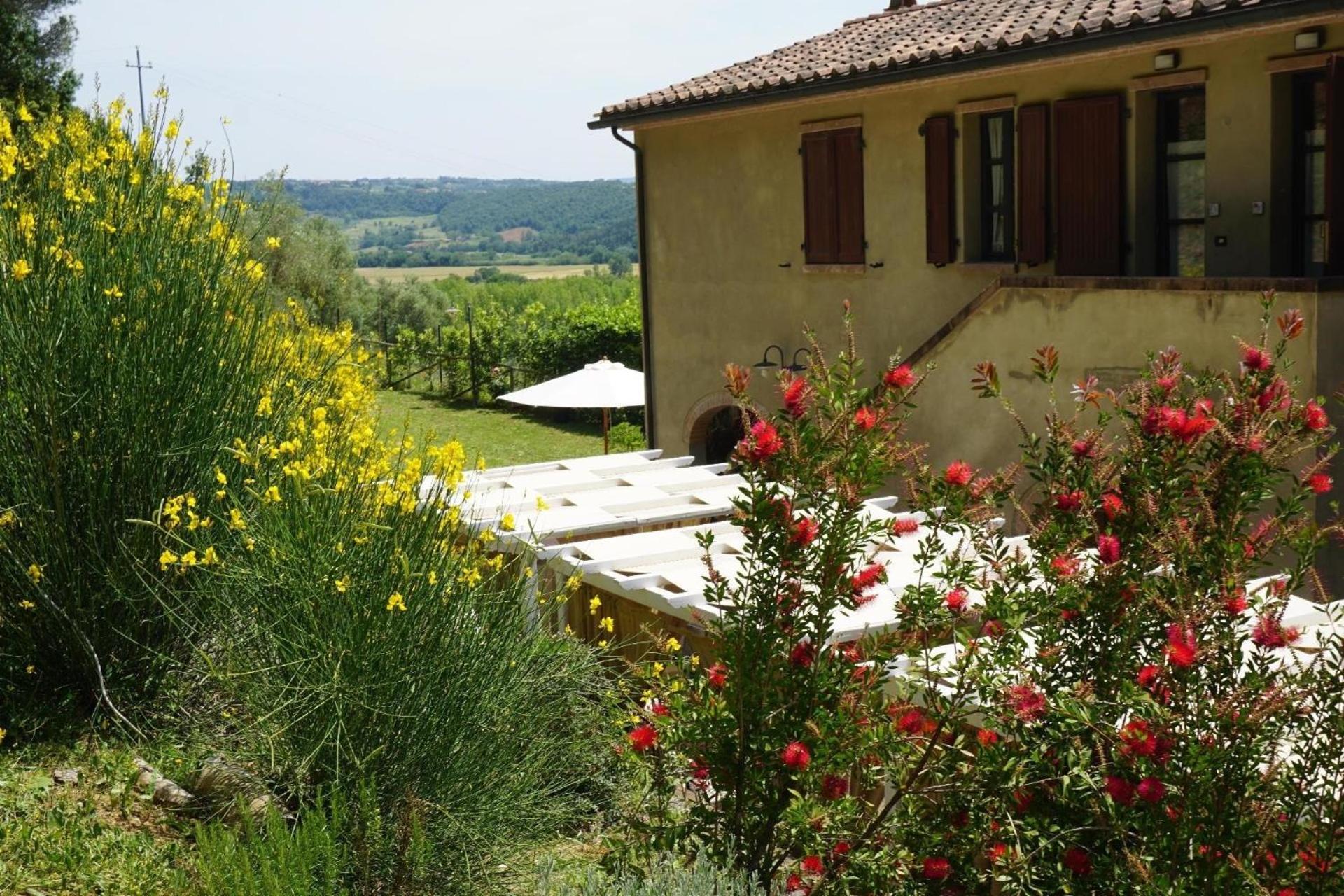 Appartement in Riparbella mit Garten, gemeinsamem Pool und Grill view 5