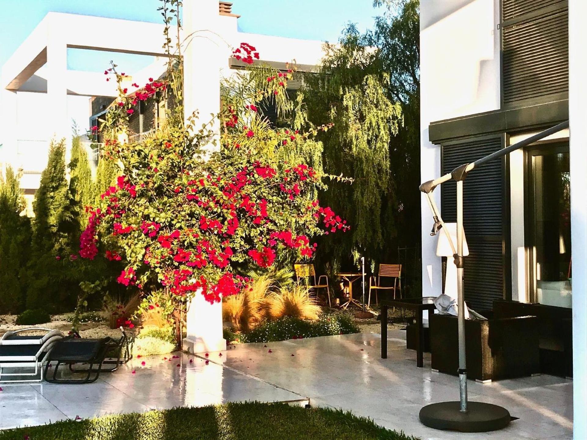 Ferienhaus In Manacor Mit Eigenem Pool
