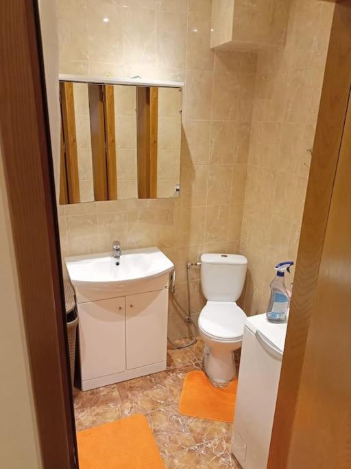 Nice and cosy 1 bedroom apartment Lielupe Jurmala view 4