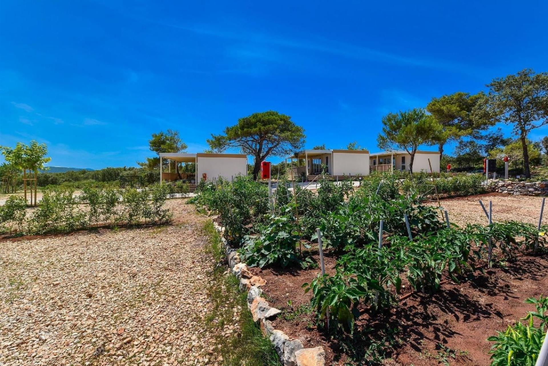 Mobilheim für 3 Personen ca 20 qm in Ugljan, Dalmatien Inseln vor Zadar view 5