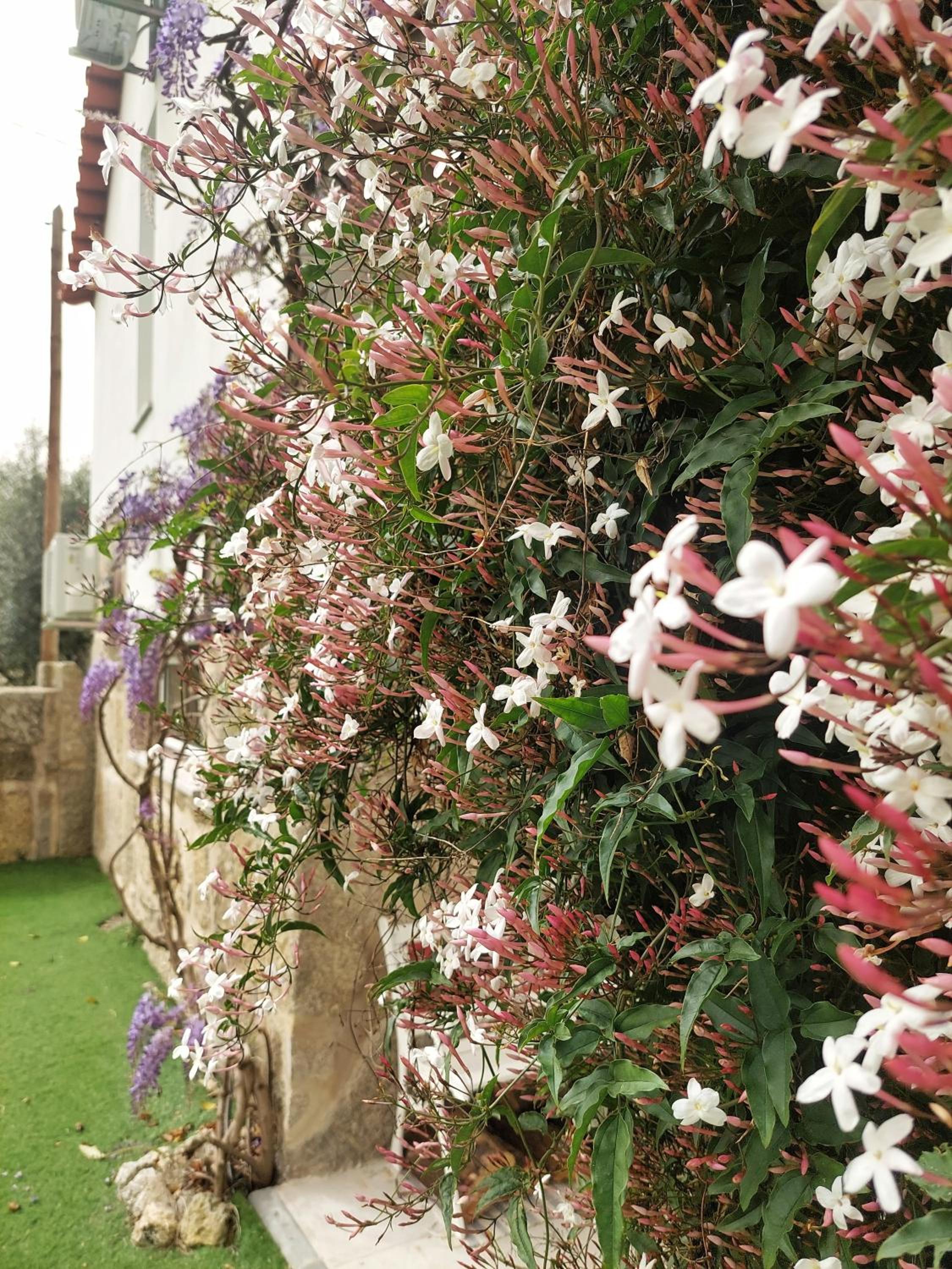 A Casa do Soito