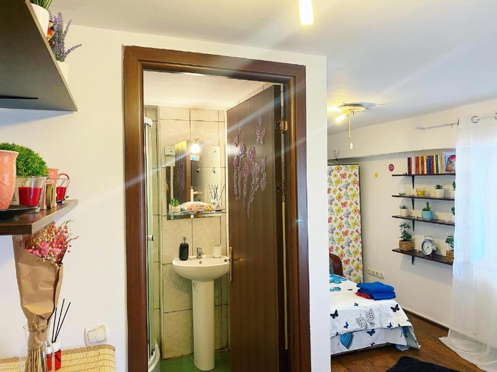 Andu Apartament