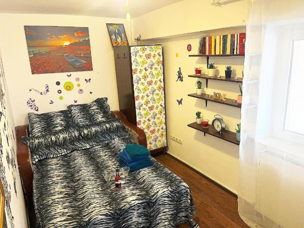 Andu Apartament