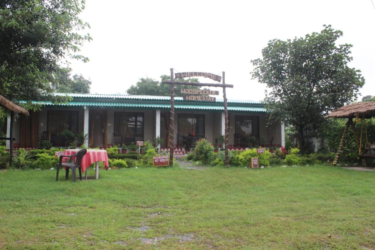 Woodpecker Homestay