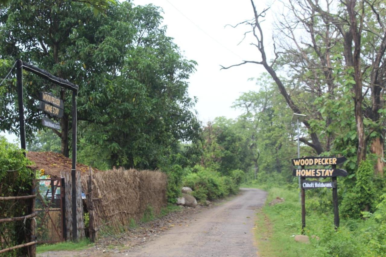 Woodpecker Homestay