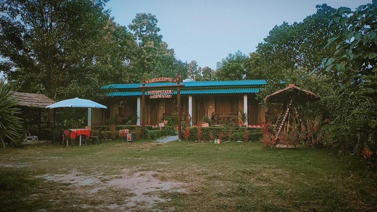 Woodpecker Homestay