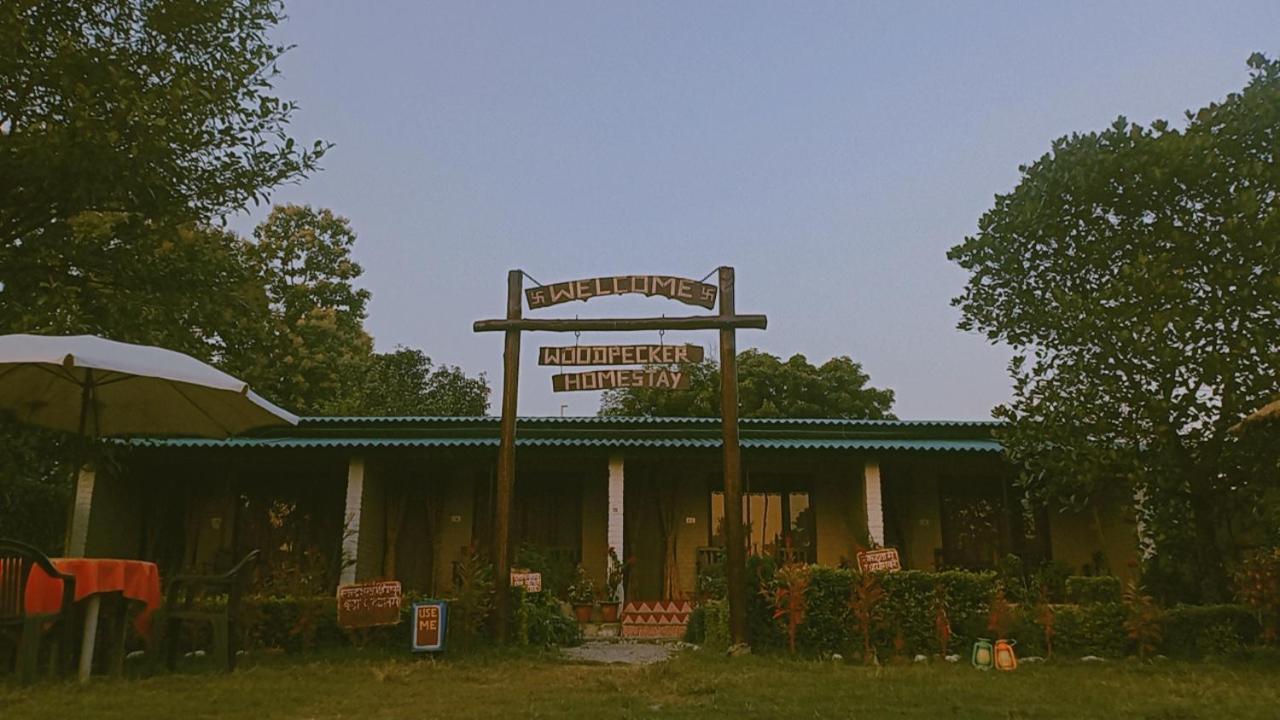 Woodpecker Homestay