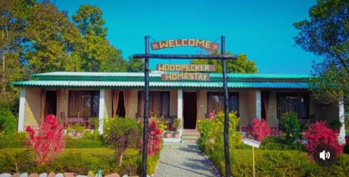 Woodpecker Homestay