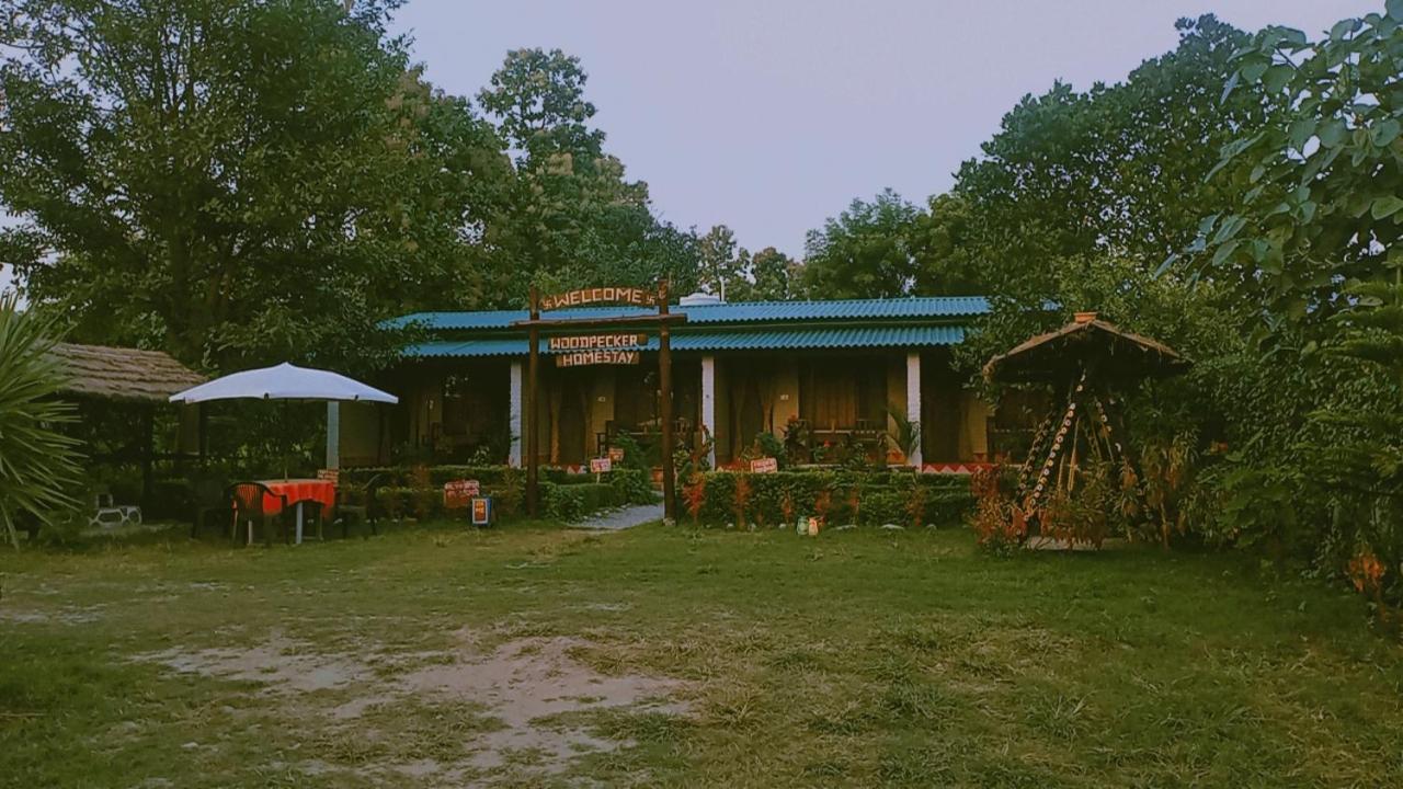 Woodpecker Homestay