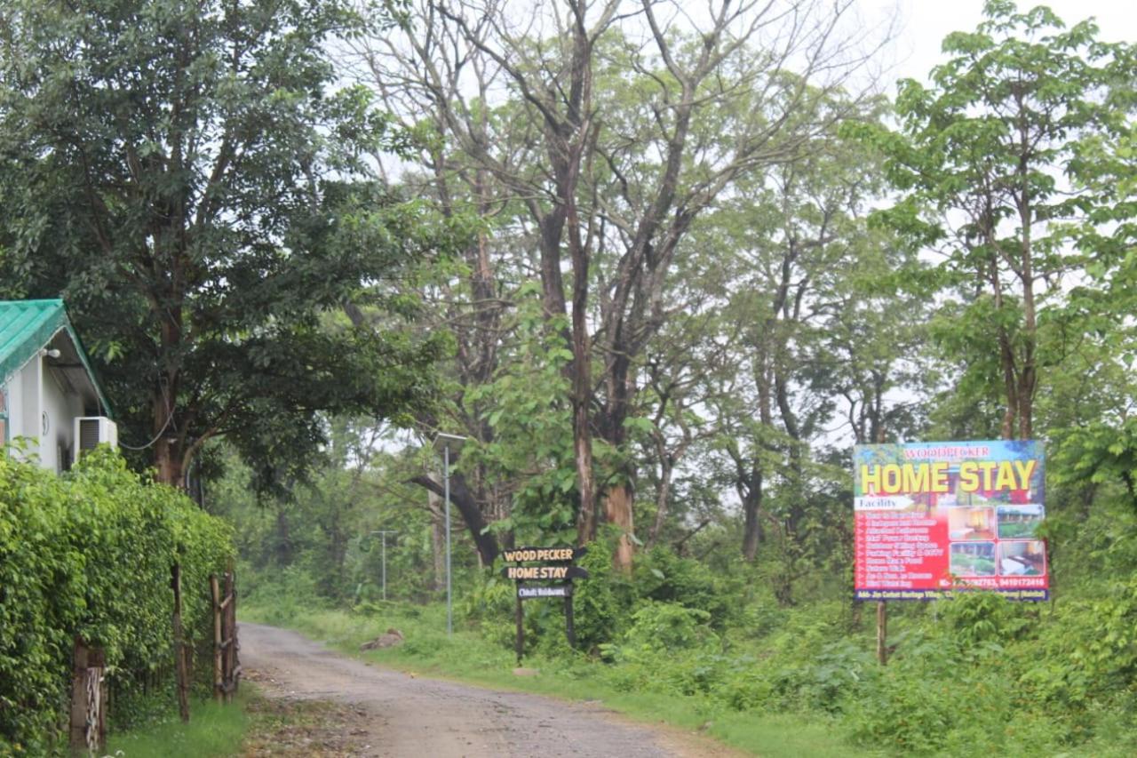 Woodpecker Homestay