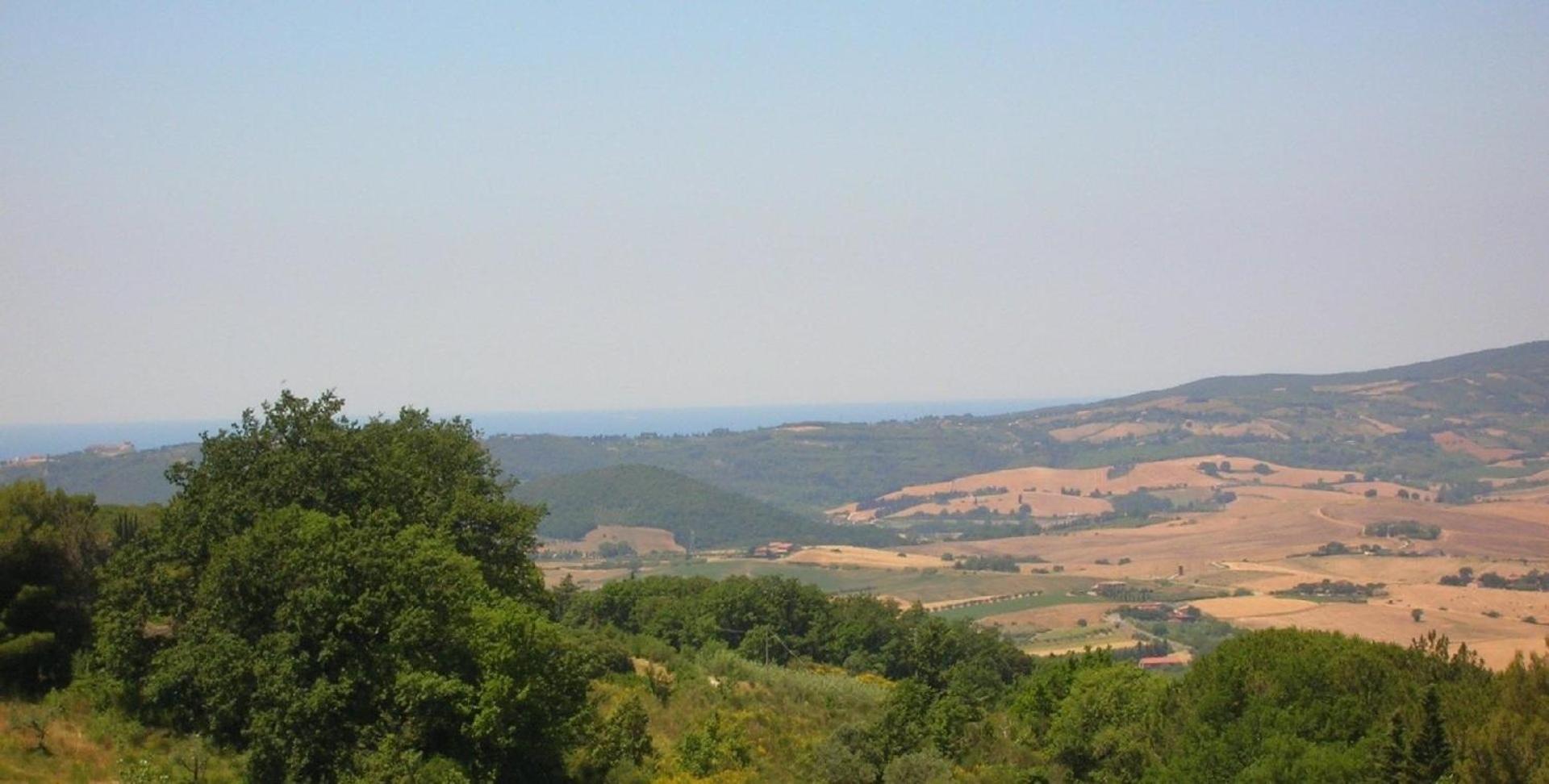 Ligoracce