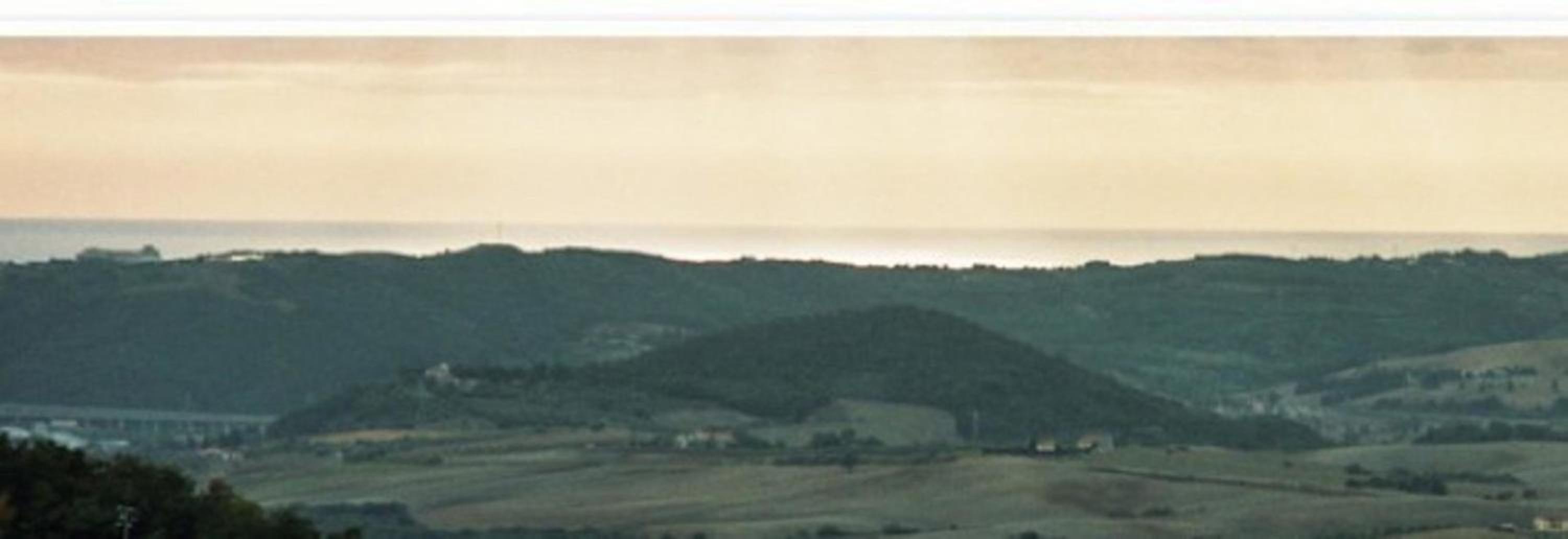 Ligoracce