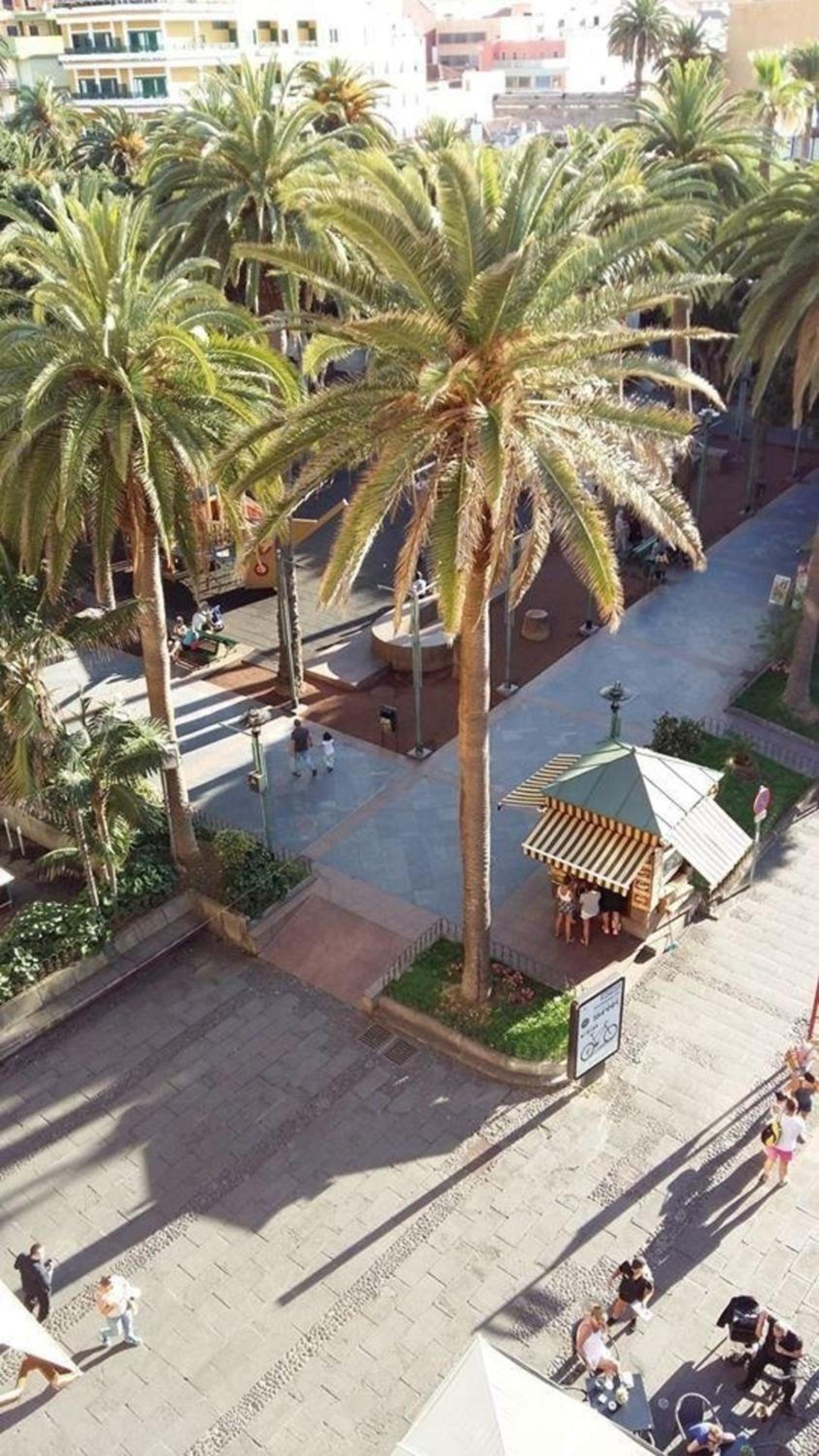 Studio für 0 Personen 3 Kinder ca 40 qm in Puerto de la Cruz, Teneriffa Nordküste von Teneriffa view 2
