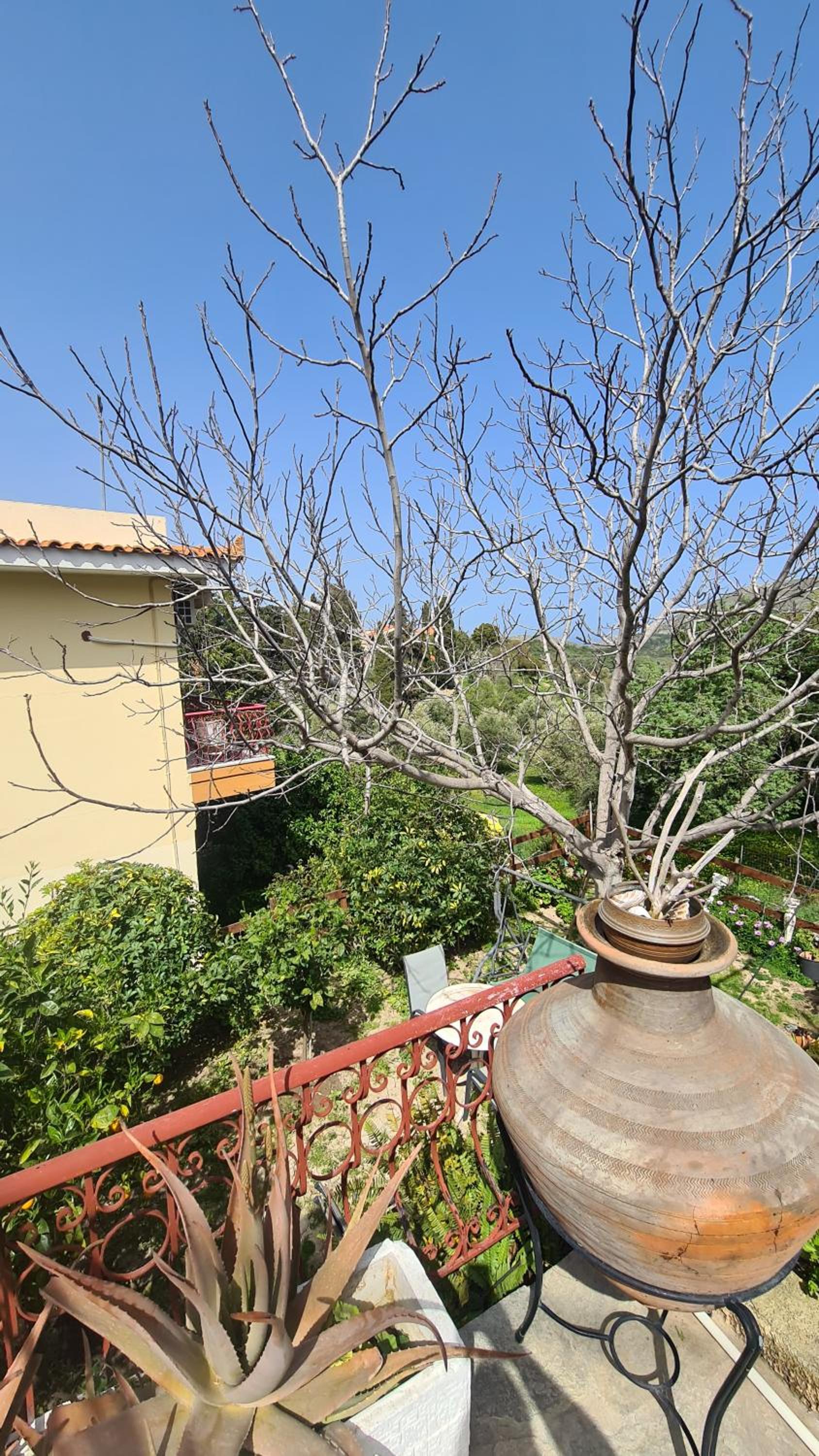 Stratigato Garden Getaway near Chios Town