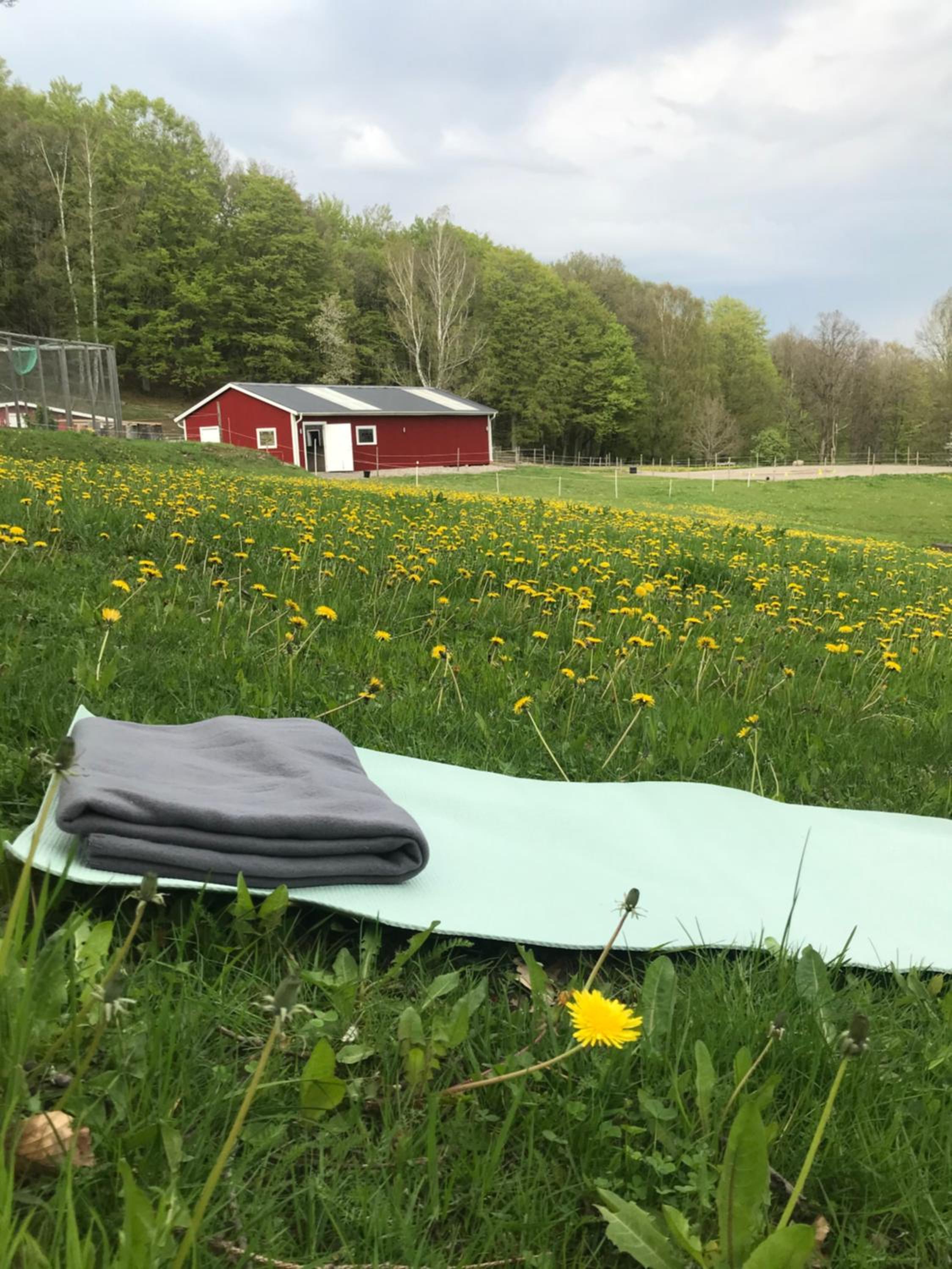 Stenlid - Med naturen och lugnet i fokus view 2